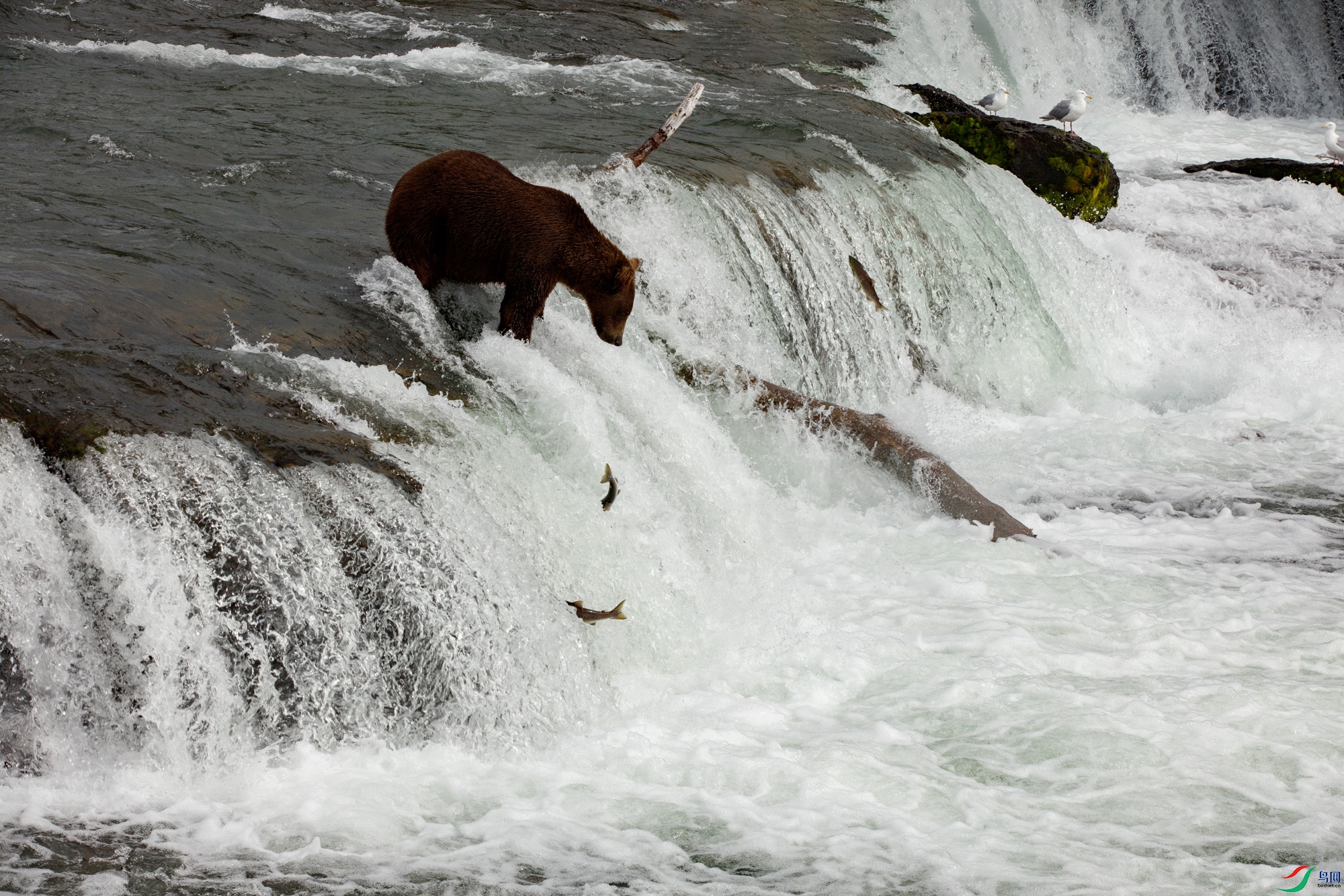 0S9A7656 ����.jpg