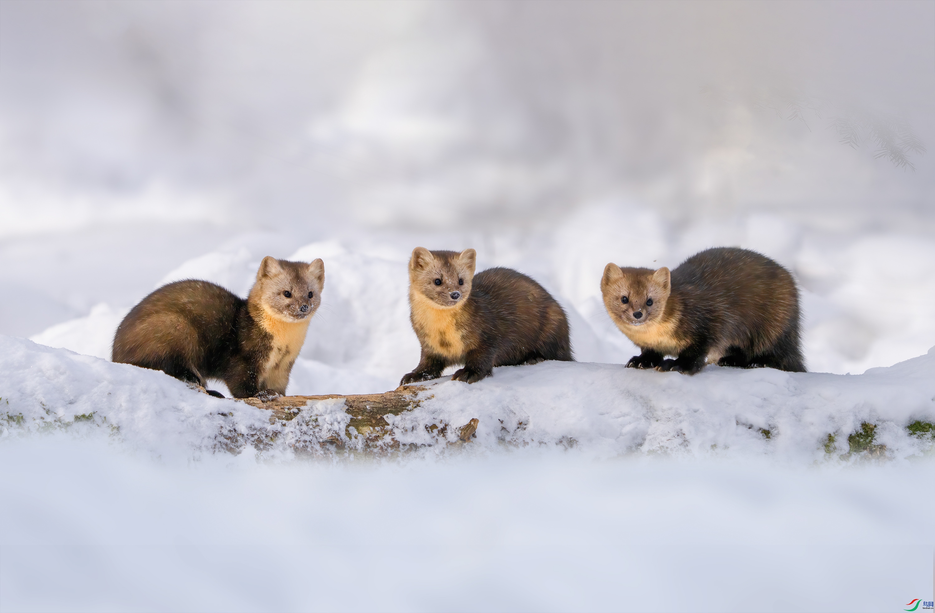 DSC00806 ���� 2.jpg