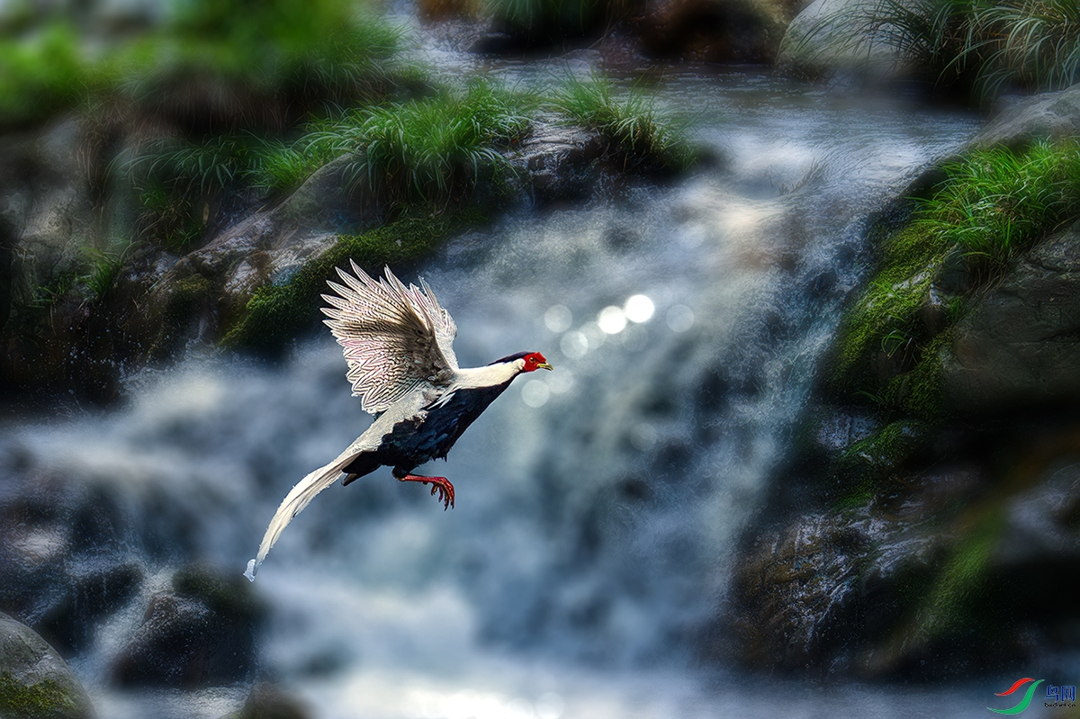 LZW02327-����ǿ-NR ����.jpg