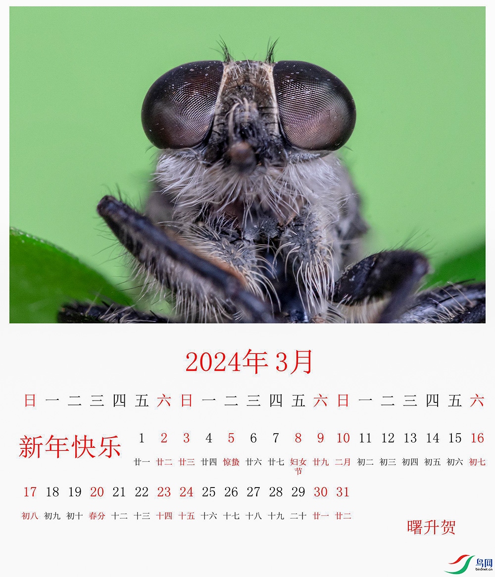 03�⣨�������񣩿�����Э����������绰13906703360_a3.jpg