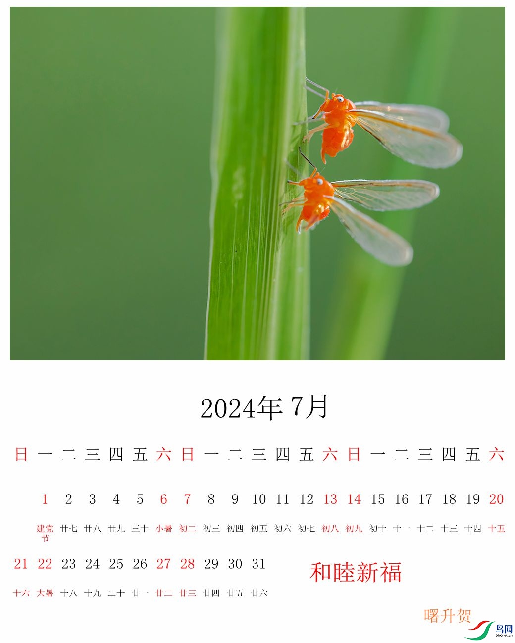 07������ ������������Э����������绰13906703360_.jpg