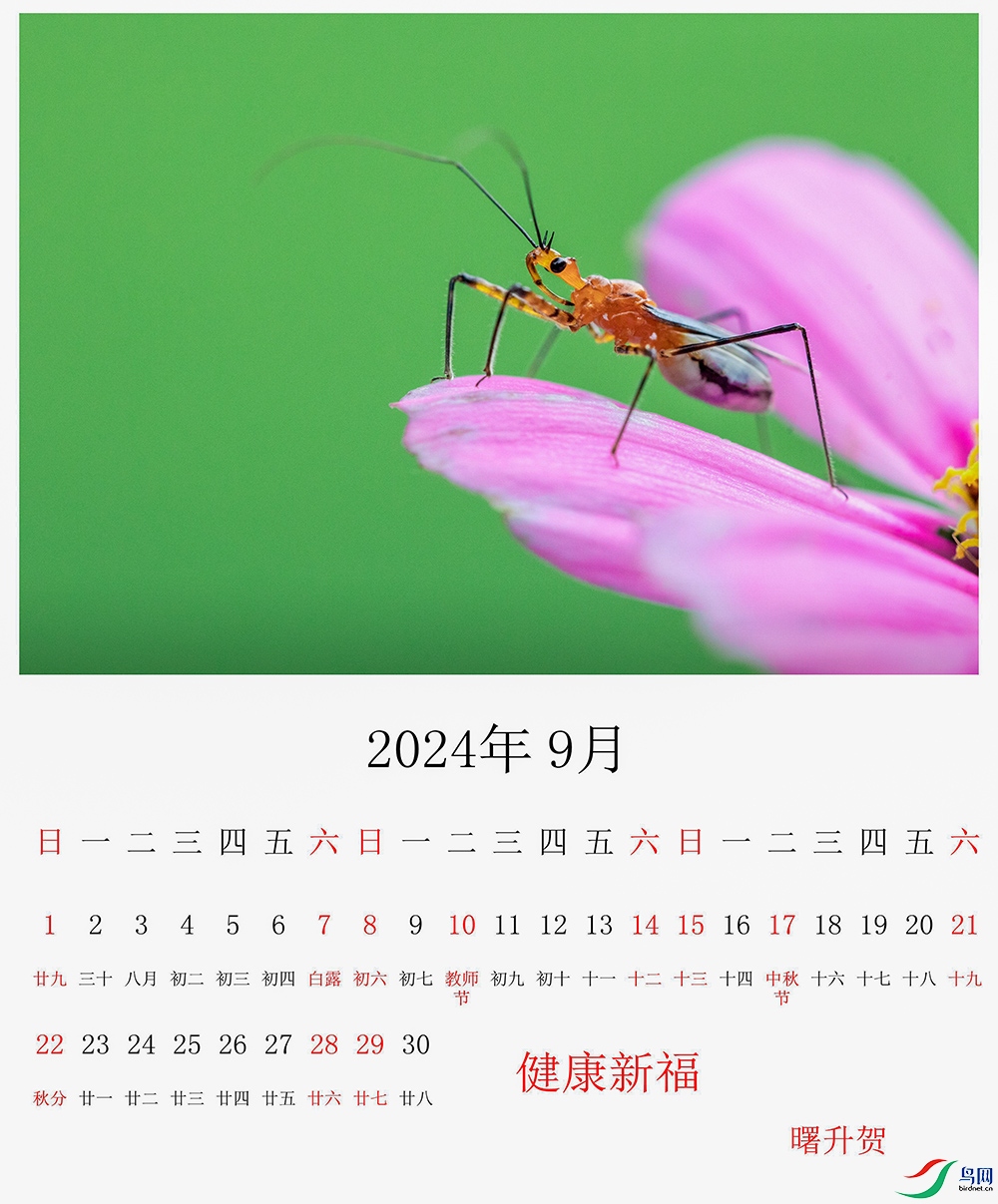 09���������䣩������Э����������绰13906703360_a3.jpg