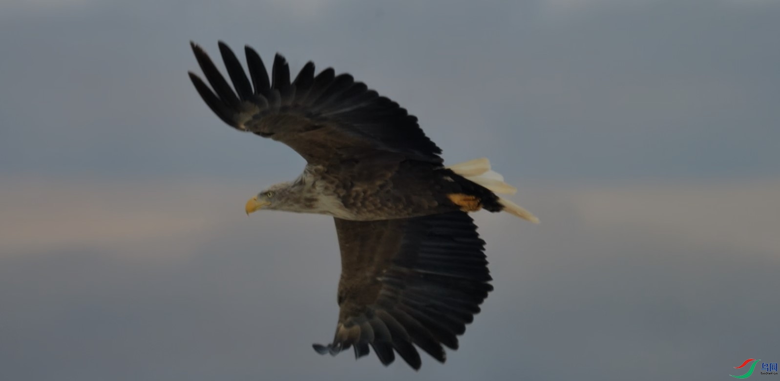 ��Ļ��ͼ 2024-02-09 093700.jpg