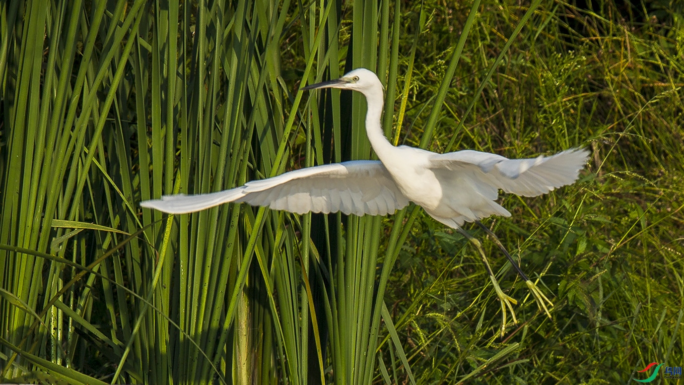 _MG_1370 ����.jpg