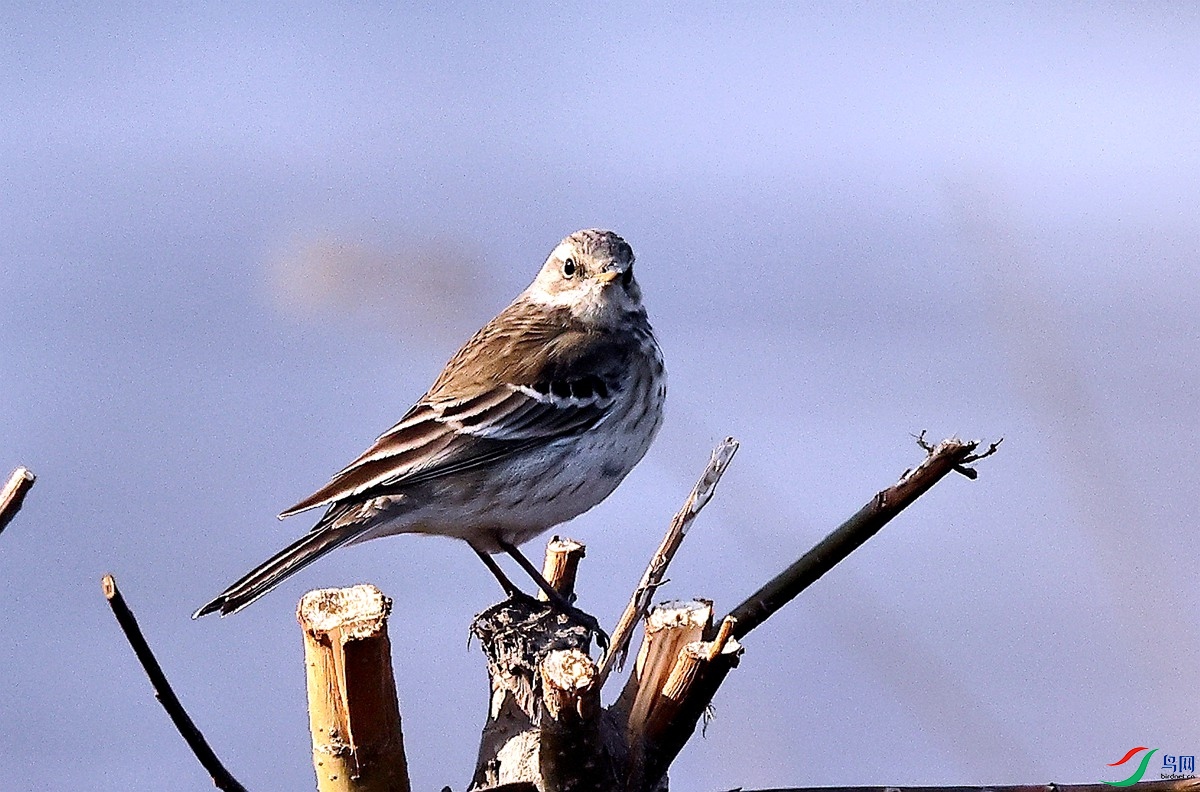 3A0312ˮ��-24.JPG
