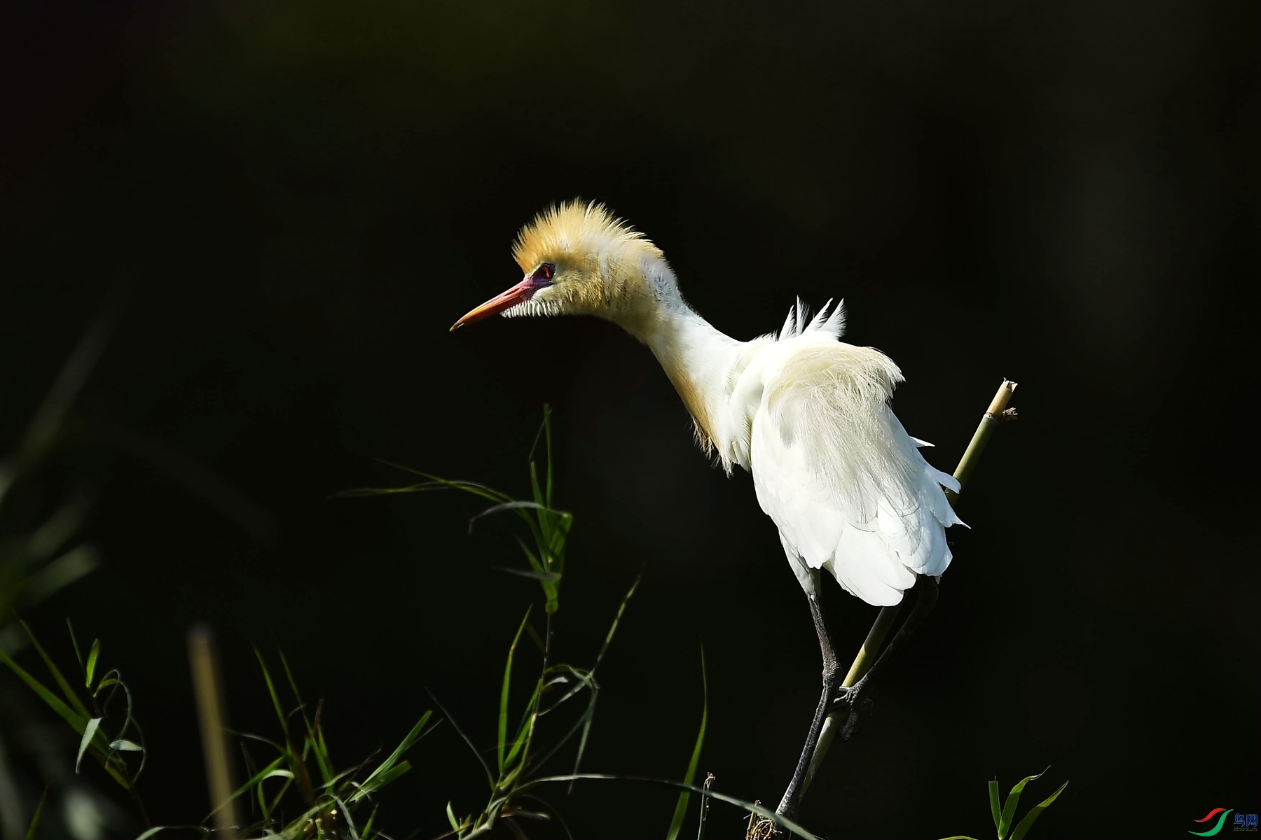 DSC_5634_����.jpg