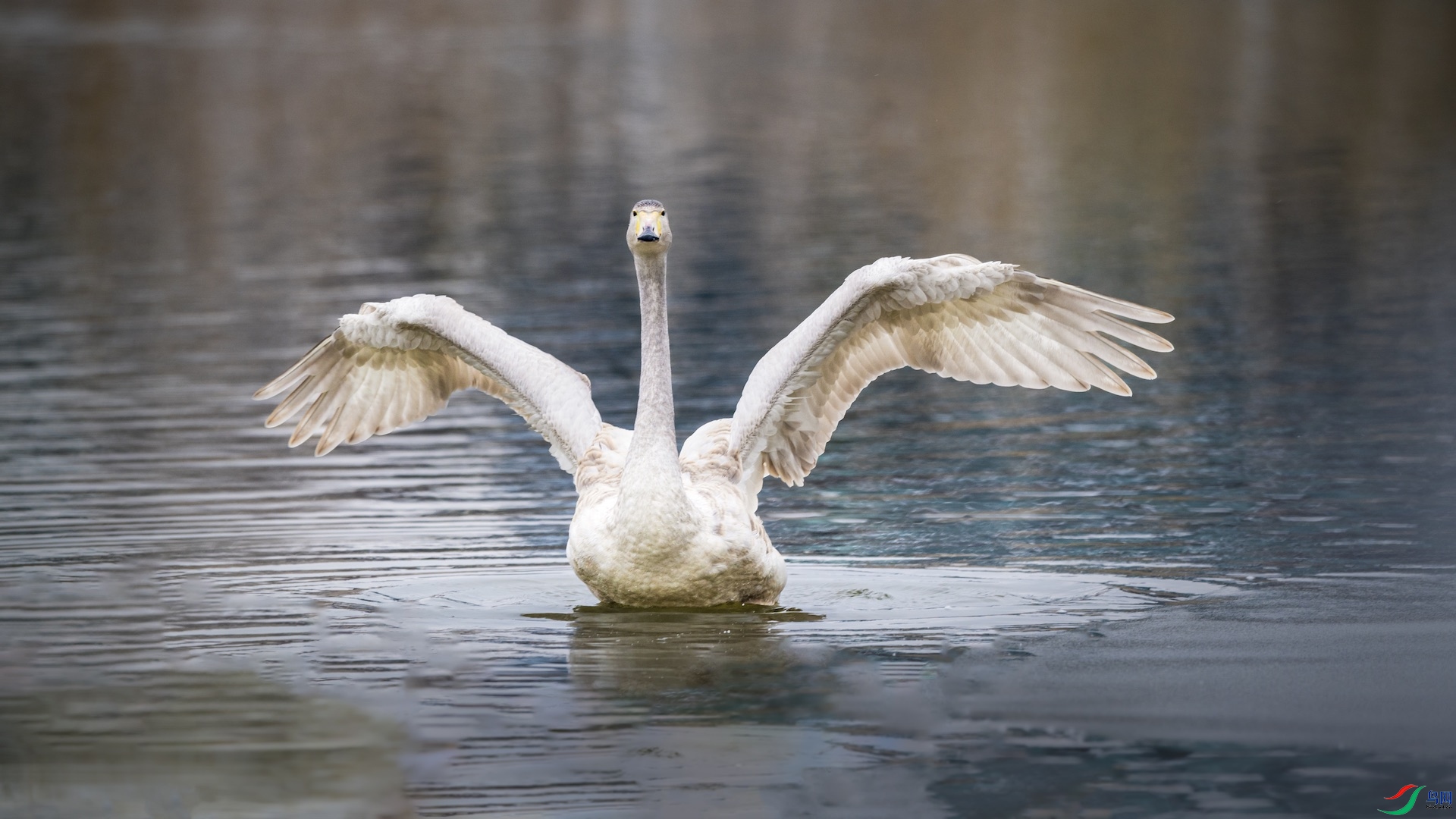 1_DSC4199 ����.jpeg