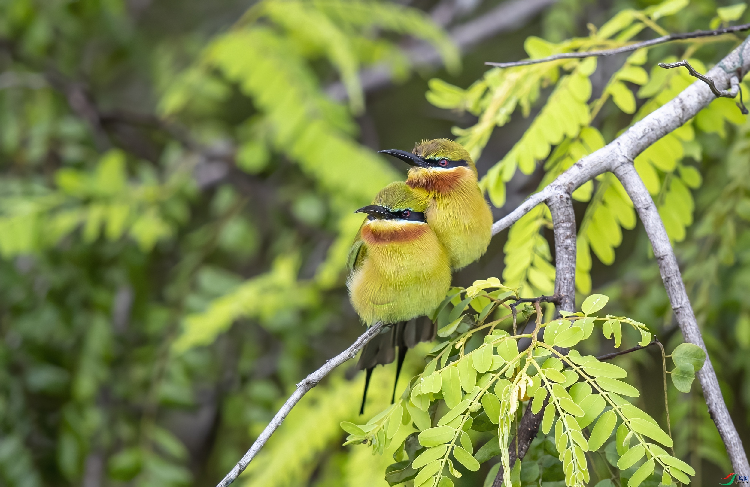 AC3I1918 ����.jpg