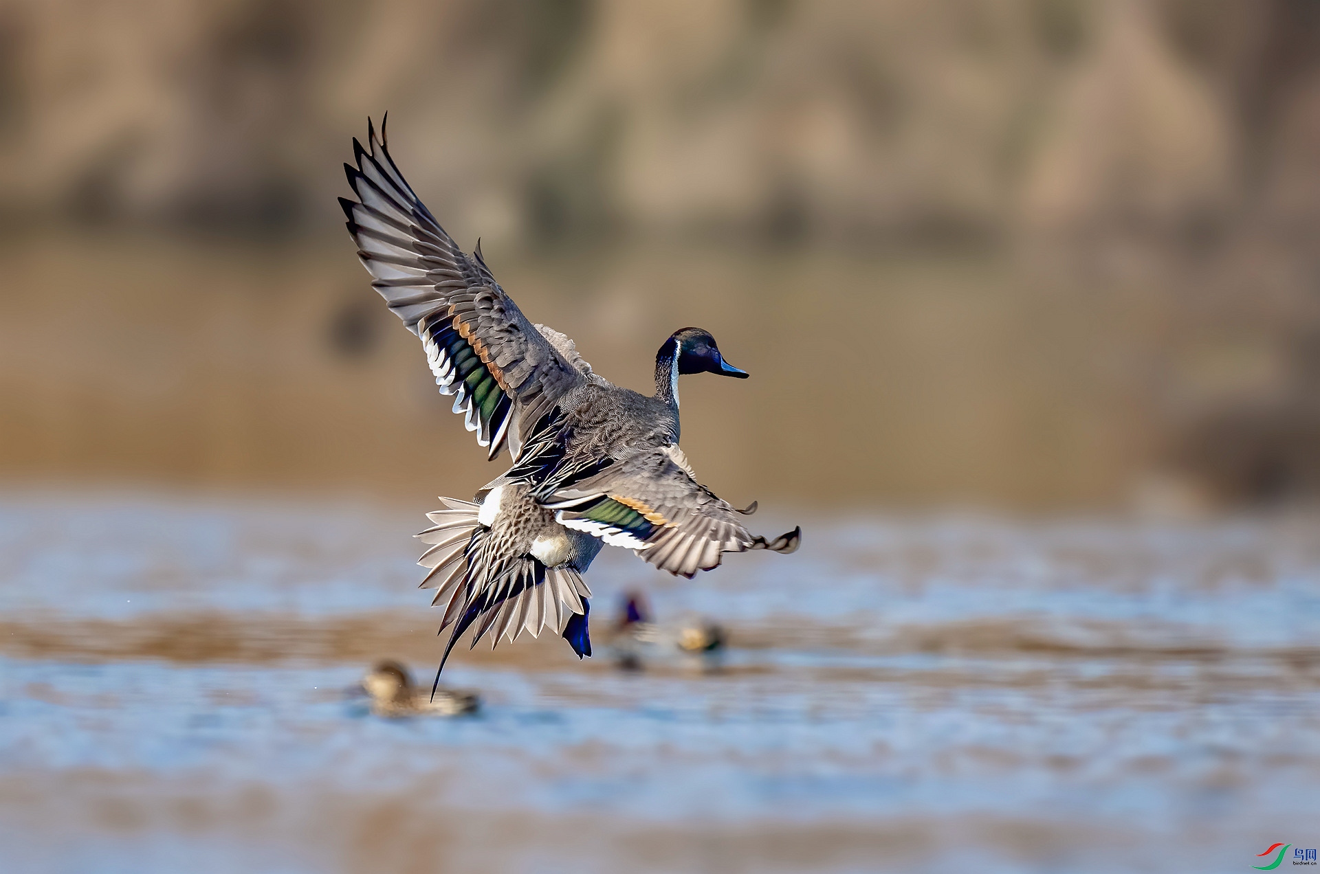 DSC_5050 ����_����.jpg