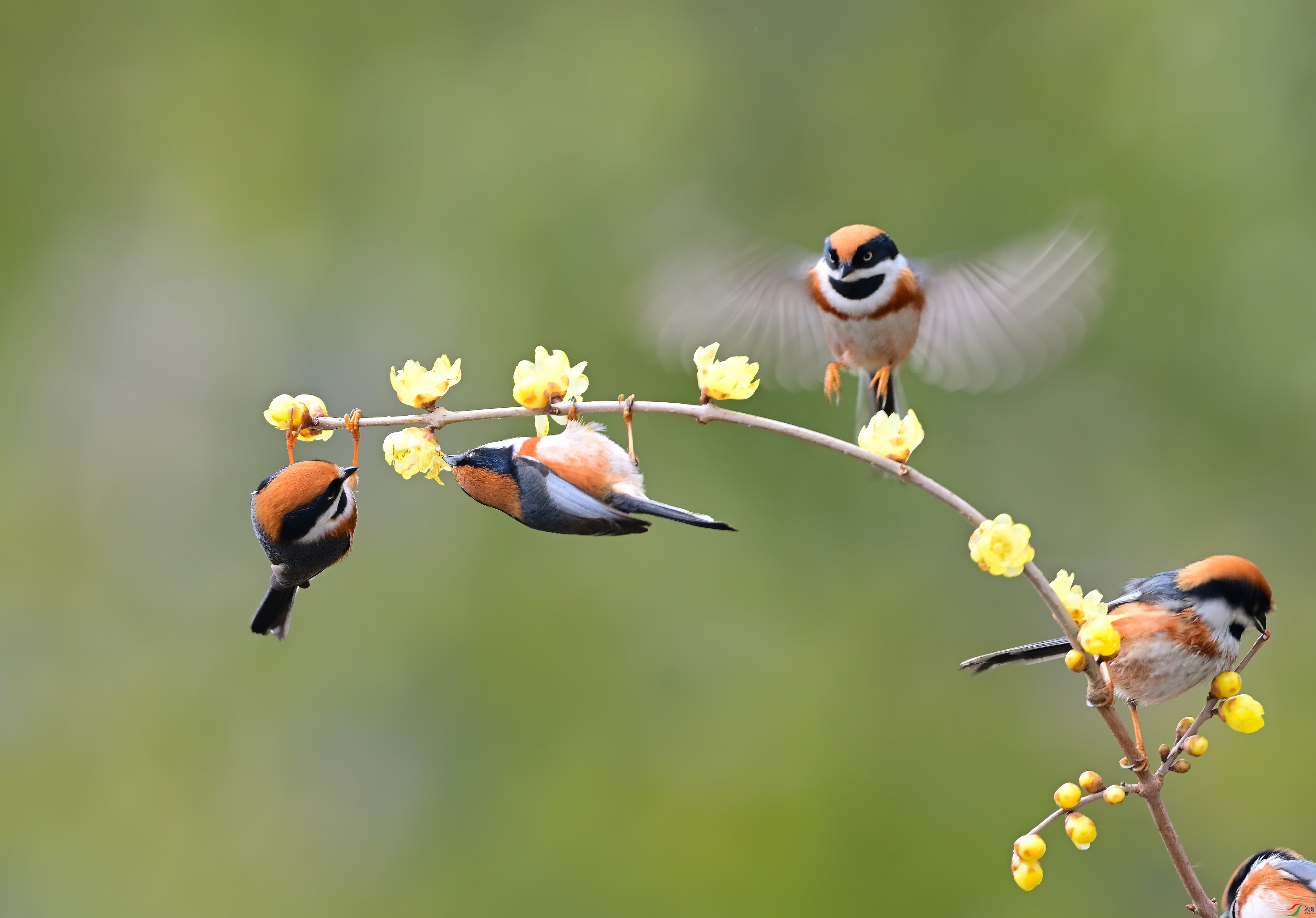 DSC_0995---.jpg
