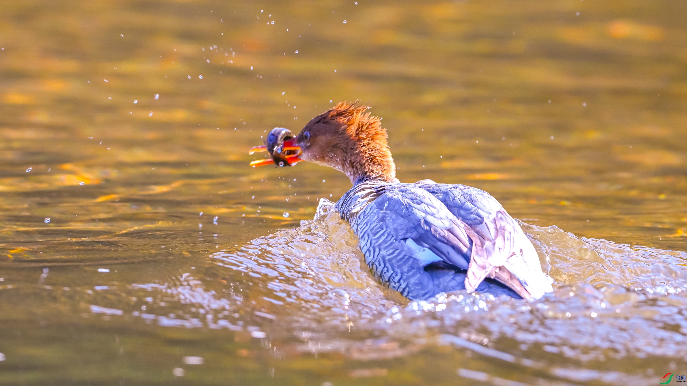 0230 ����.jpg