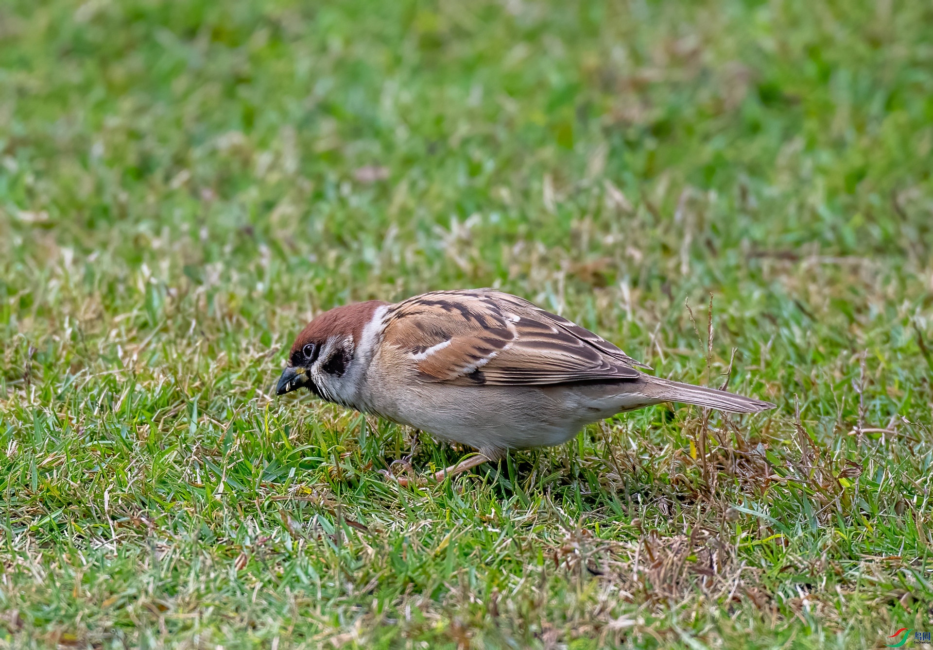 DSC_1843.jpg