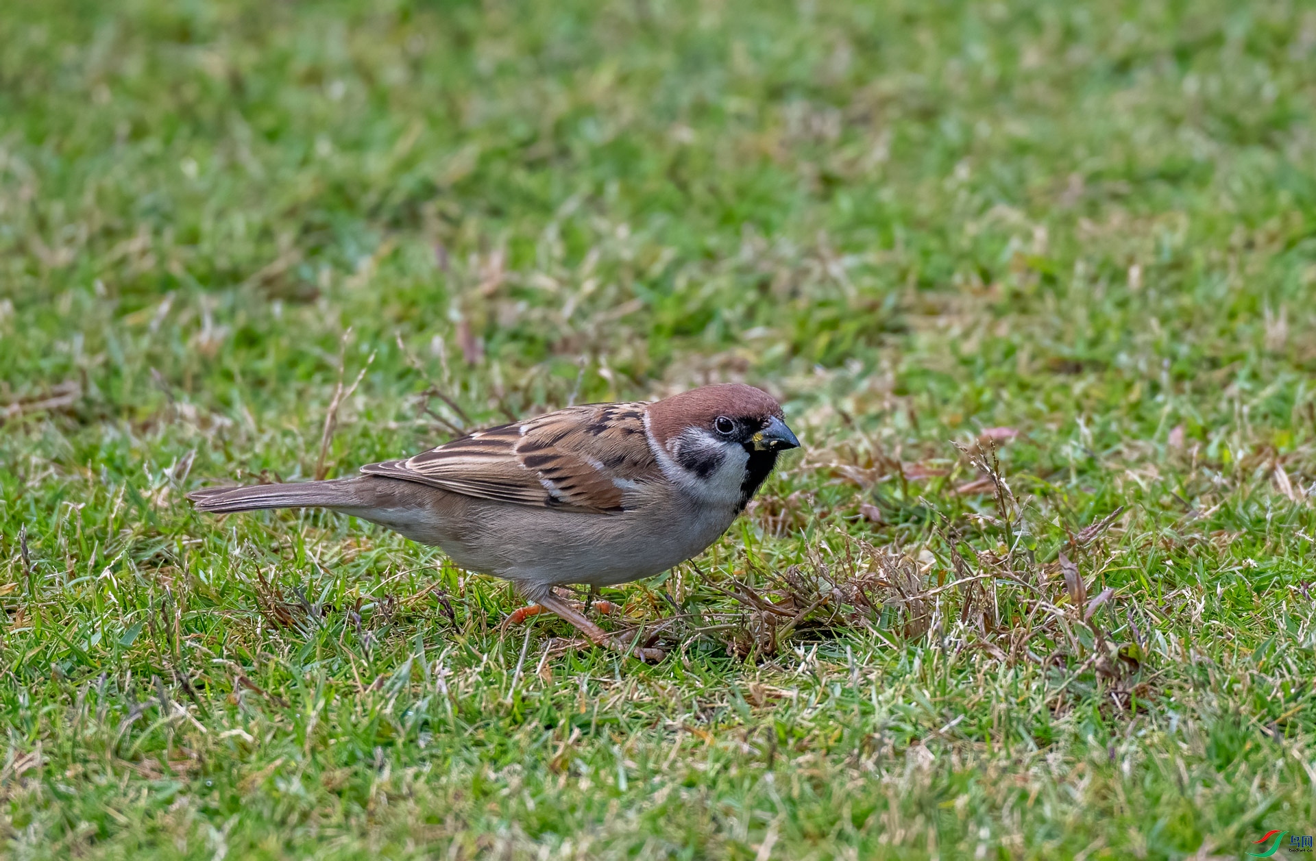 DSC_1847.jpg