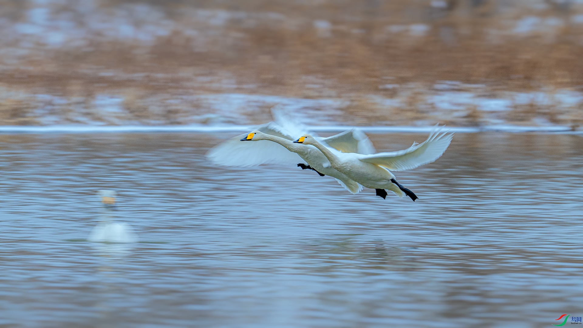_DSC0860==1w.jpg