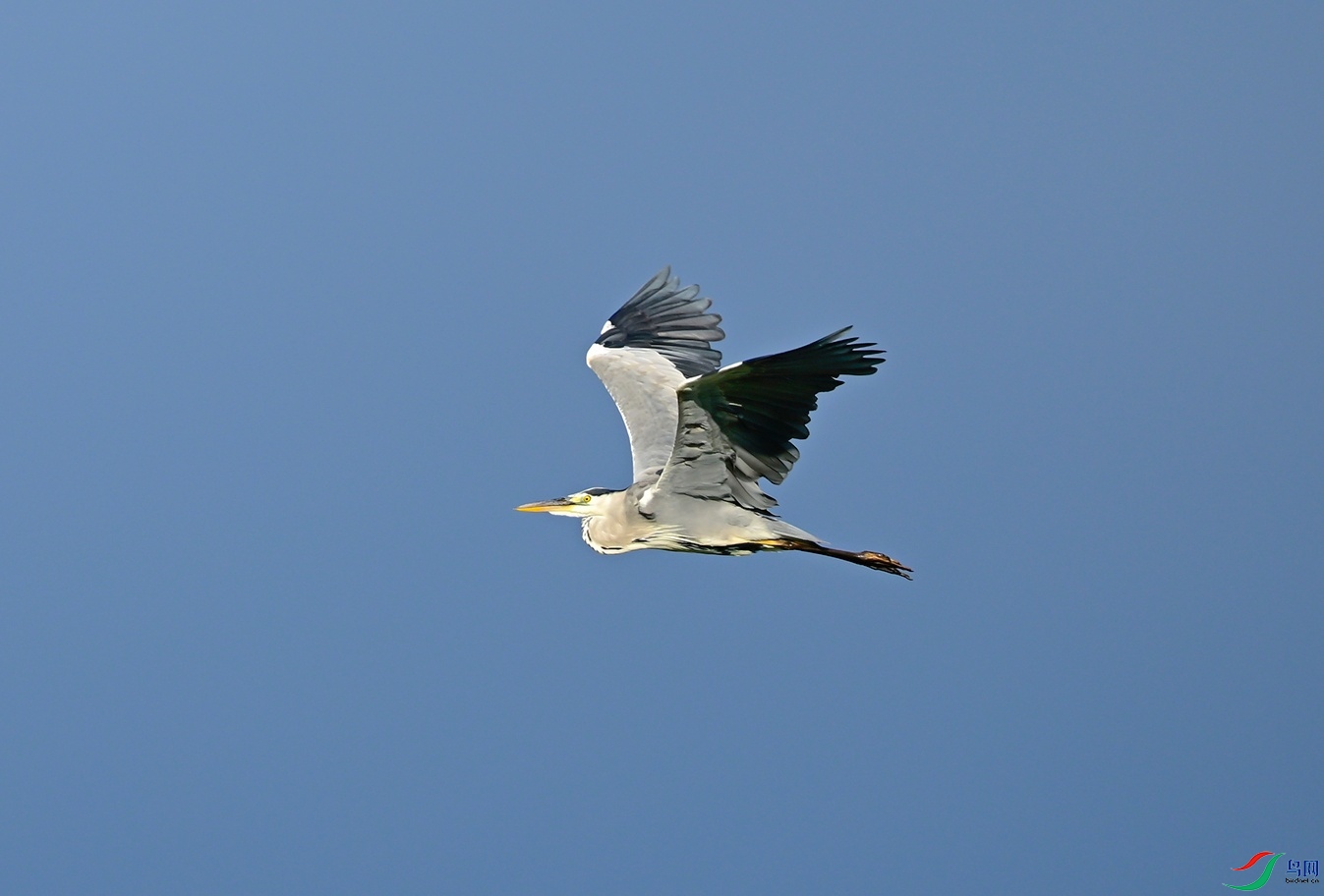 _DSC4274f.jpg