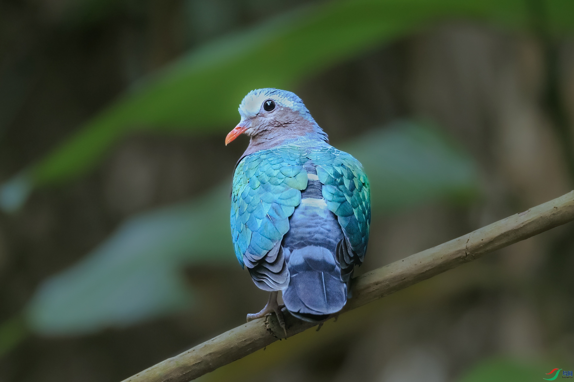 �̳���BJ1R0703.jpg