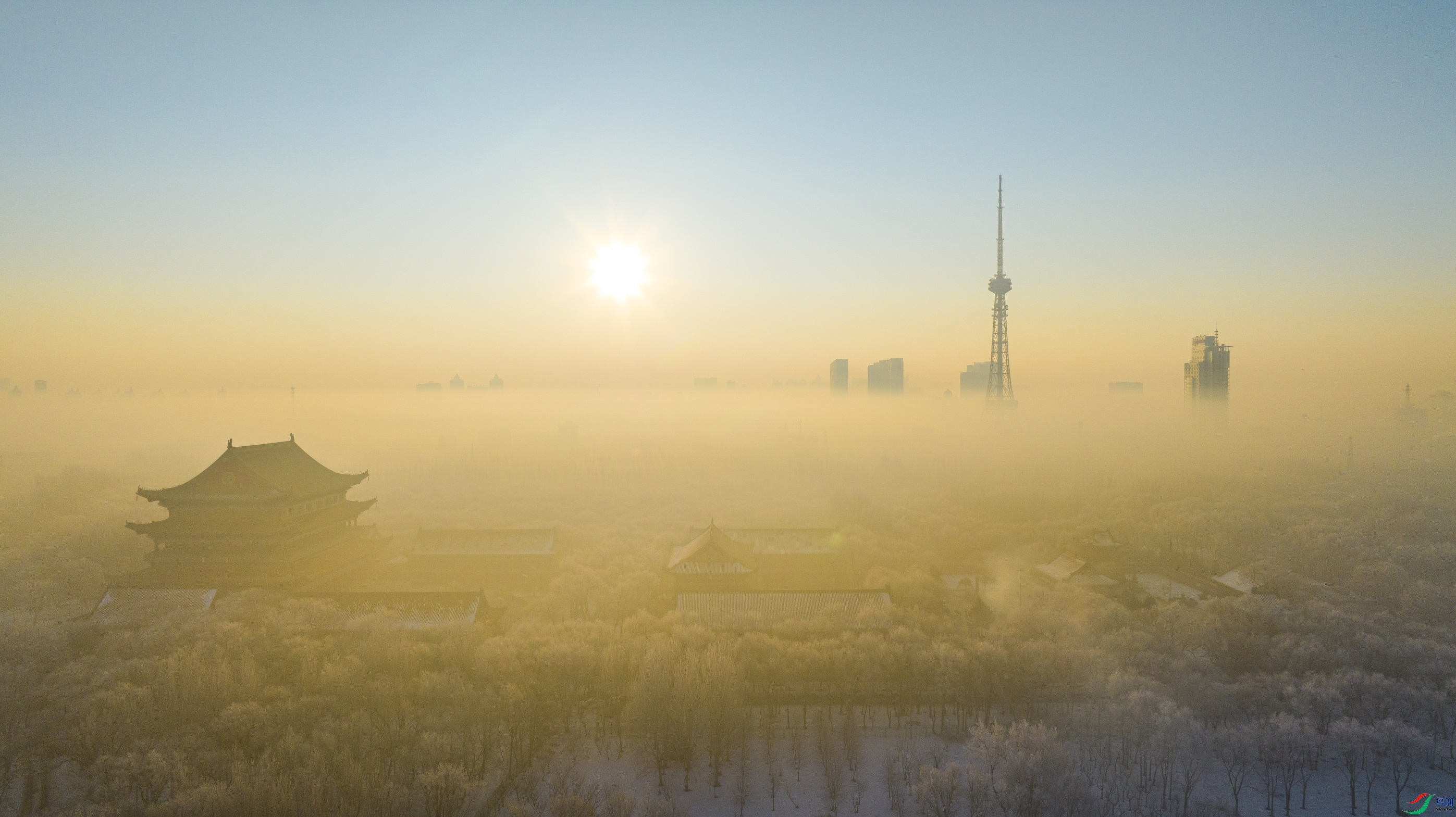 dji_fly_20240210_073946_360_1707558466083_photo ����1.jpg