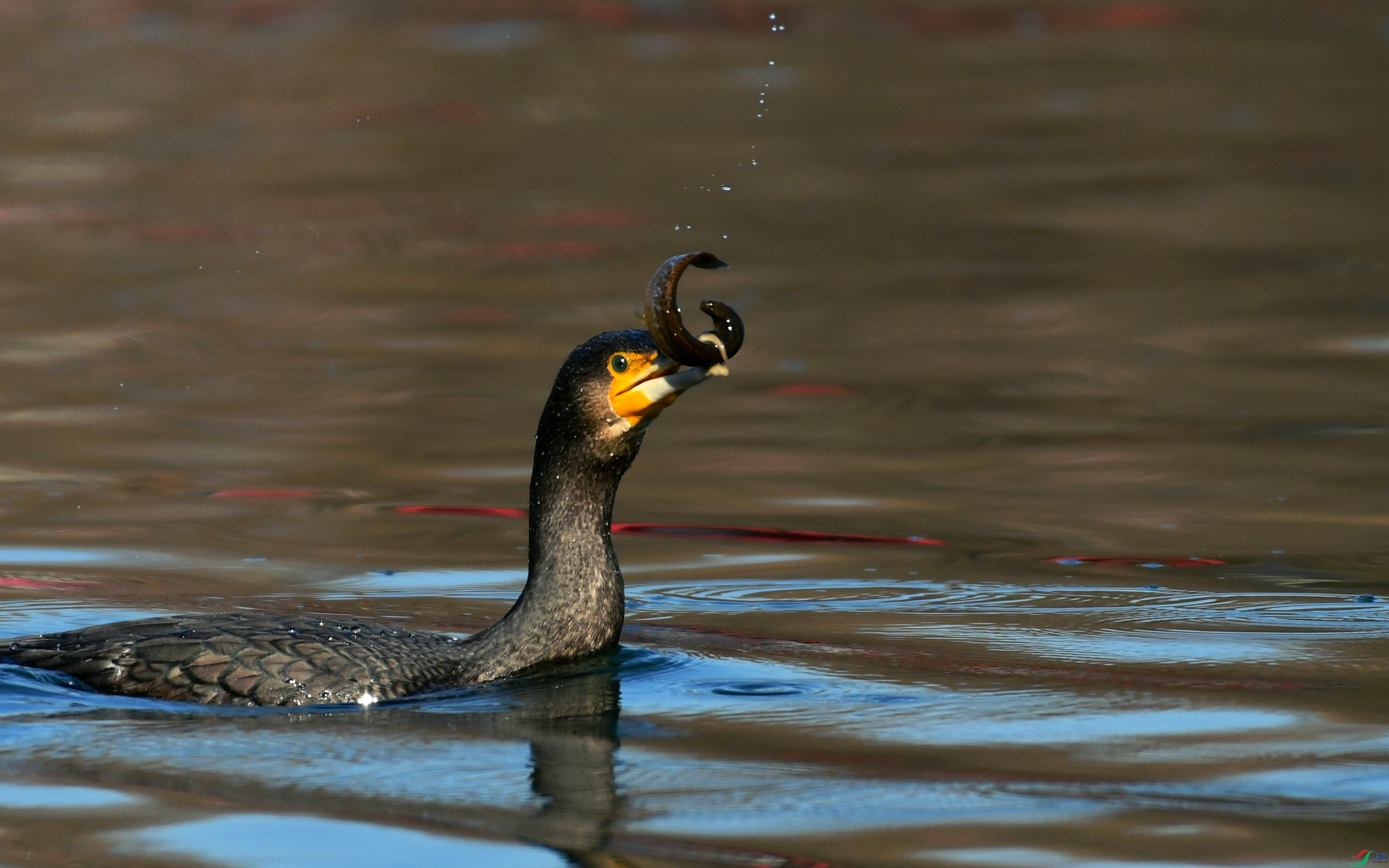 DSC_6689.JPG