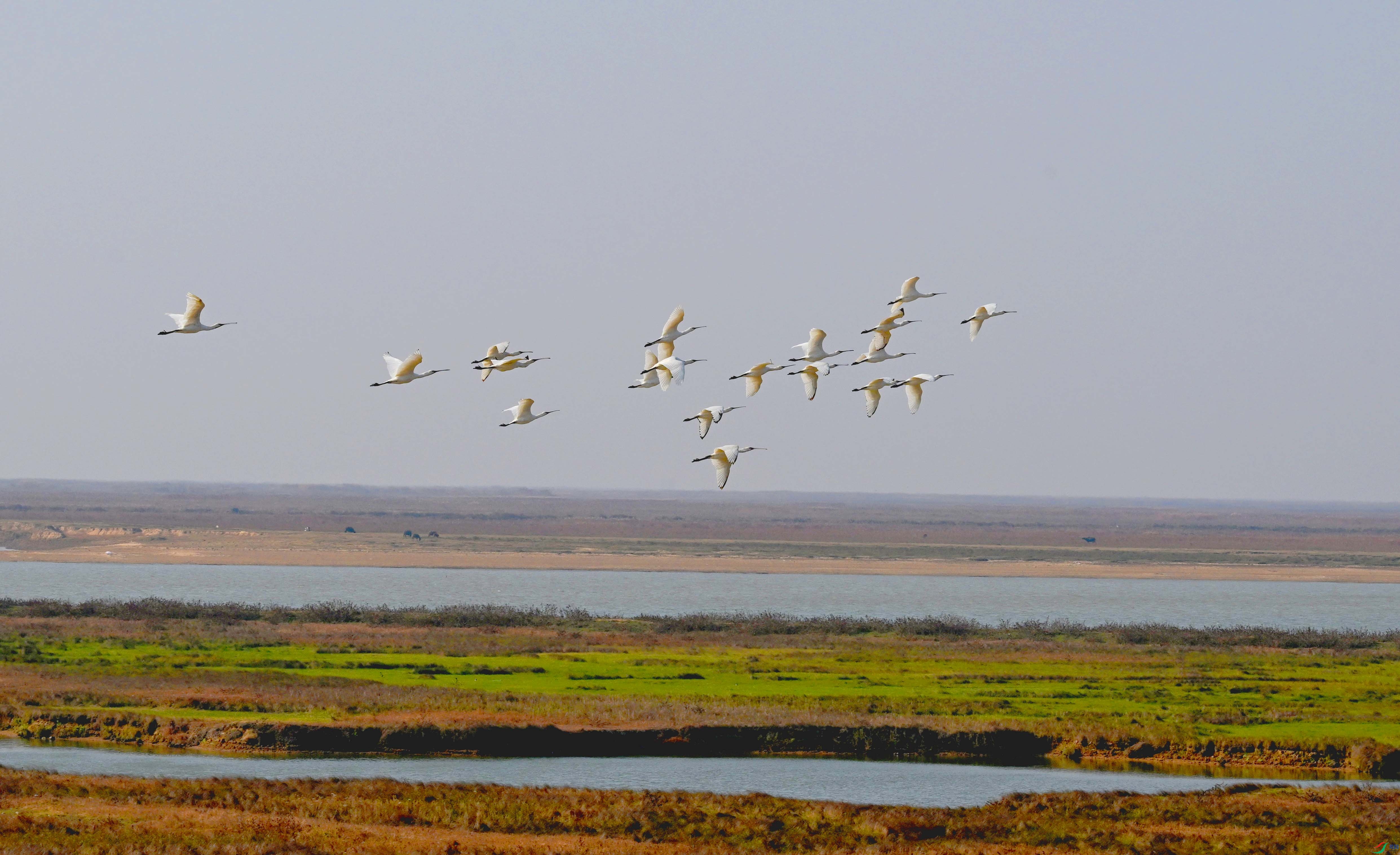 DSC_3949 ����.jpg