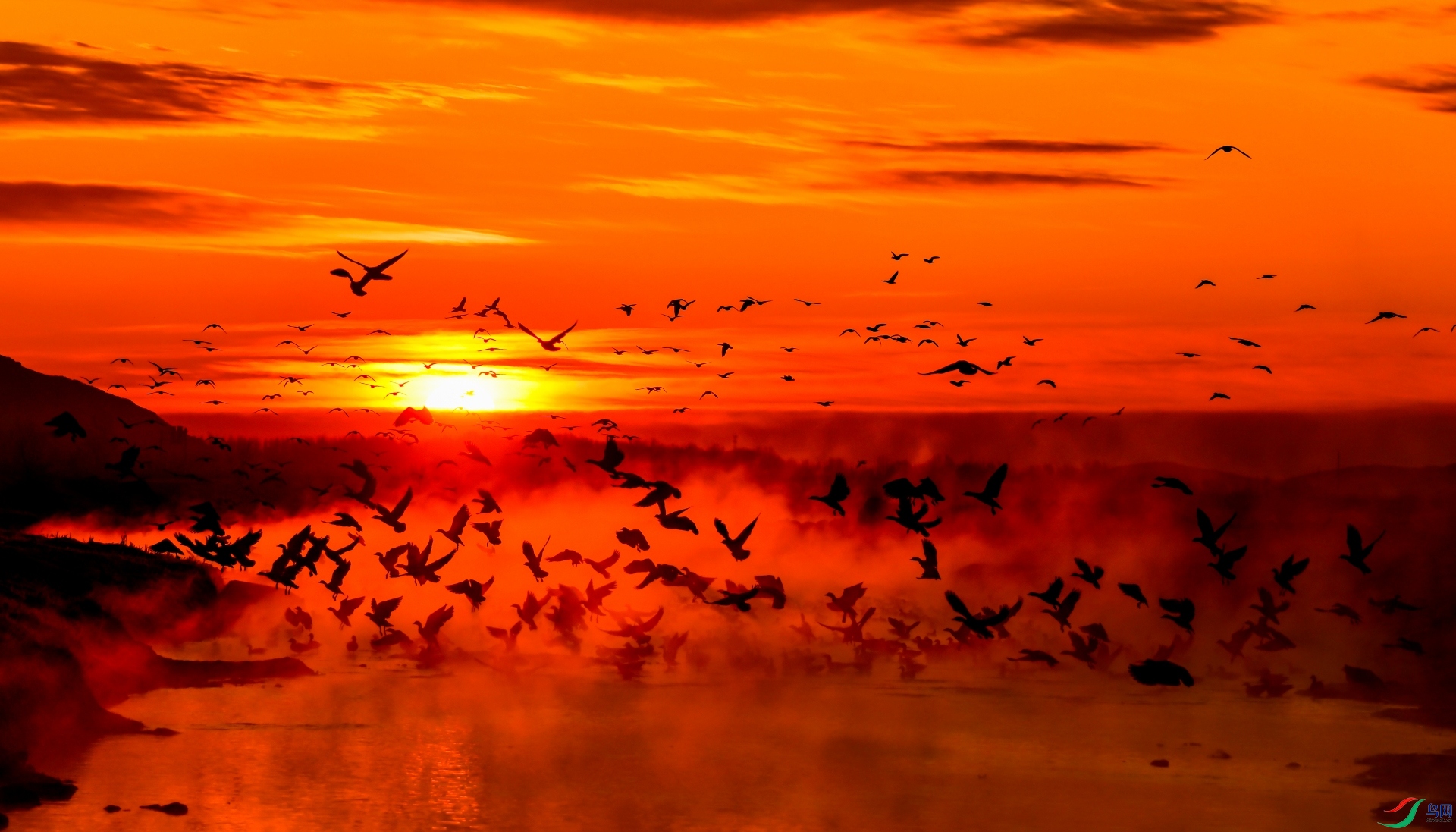 ����𣬲�������