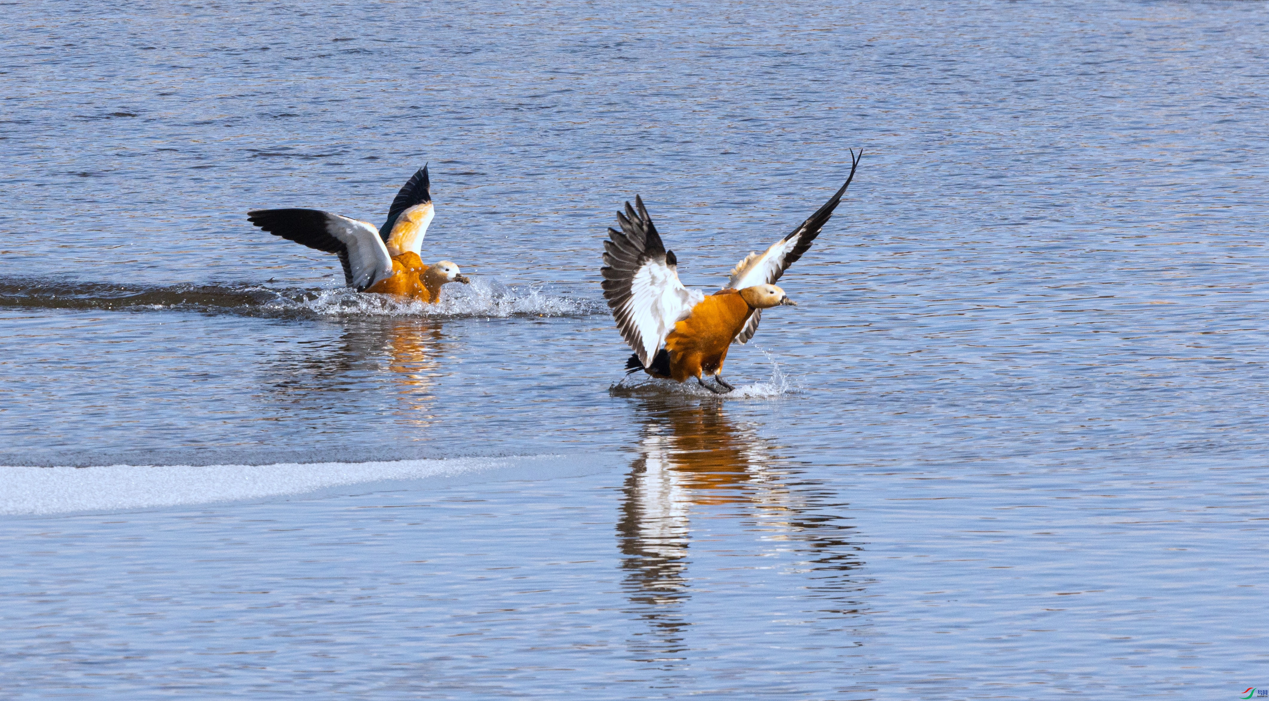 �������Ѽ 01.jpg