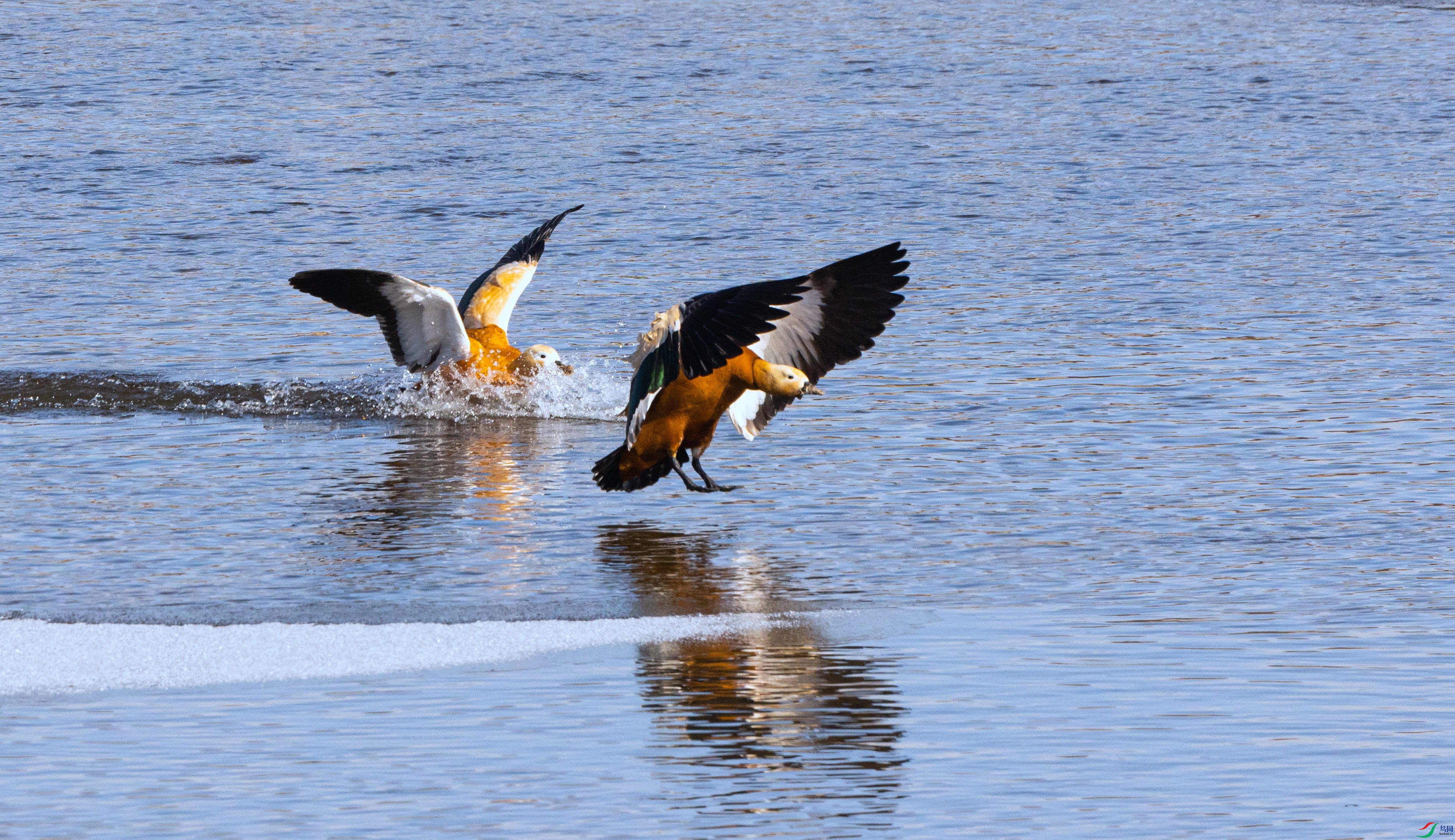 �������Ѽ 04 - ����.jpg