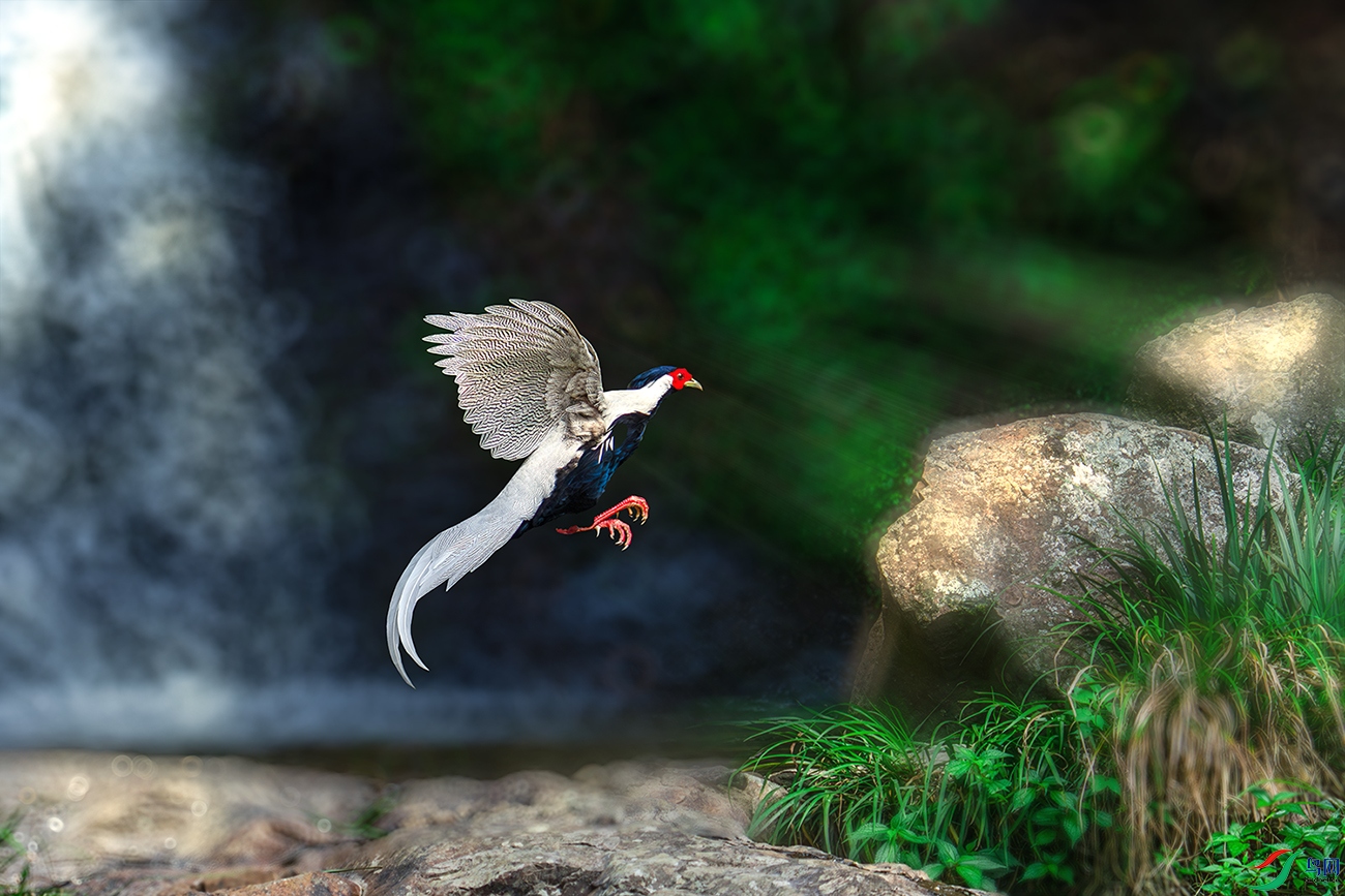 LZW06290-����ǿ-NR ����.jpg