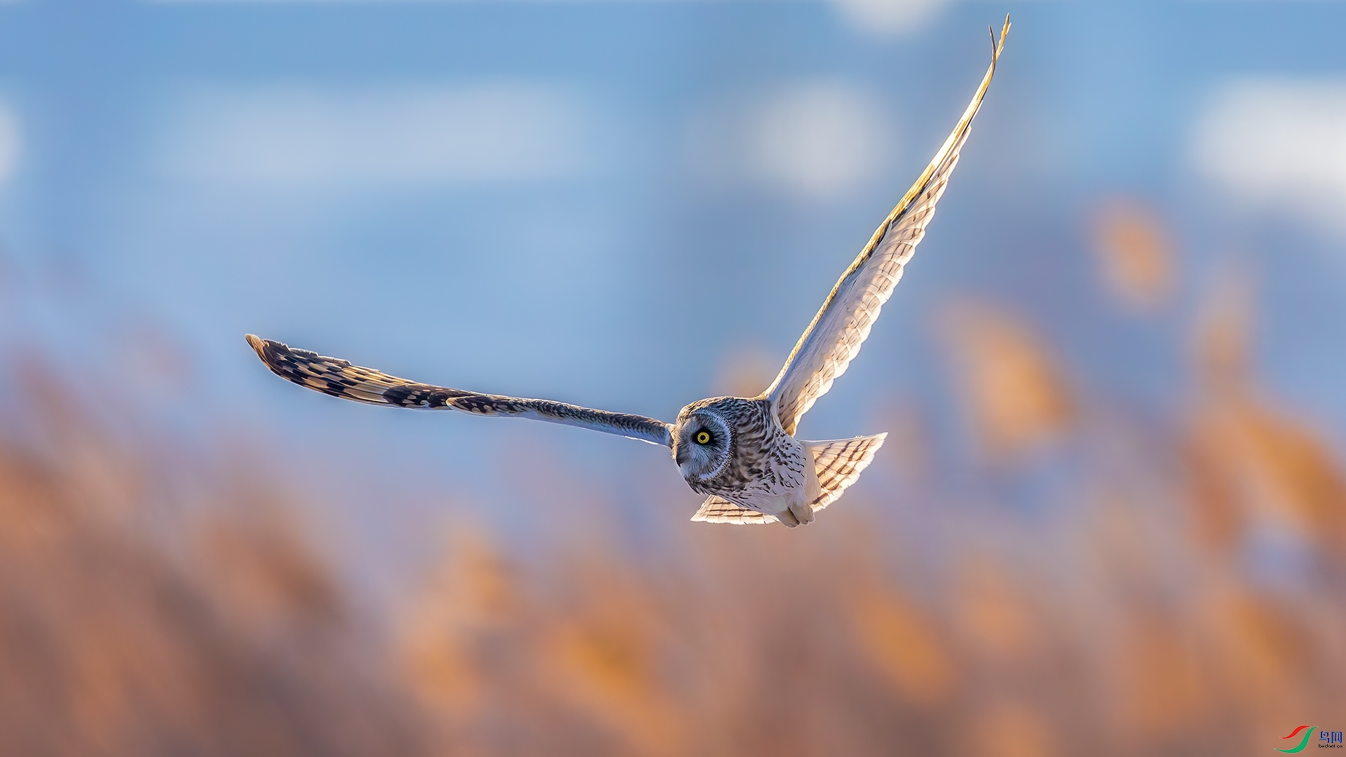 _55A7890 ����169.jpg