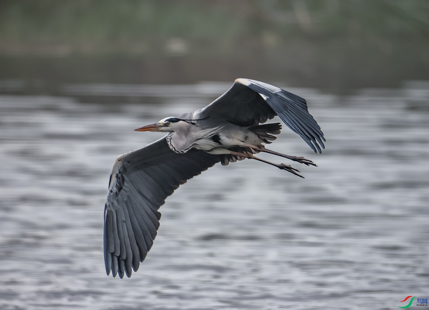 0J2A7849-0.jpg