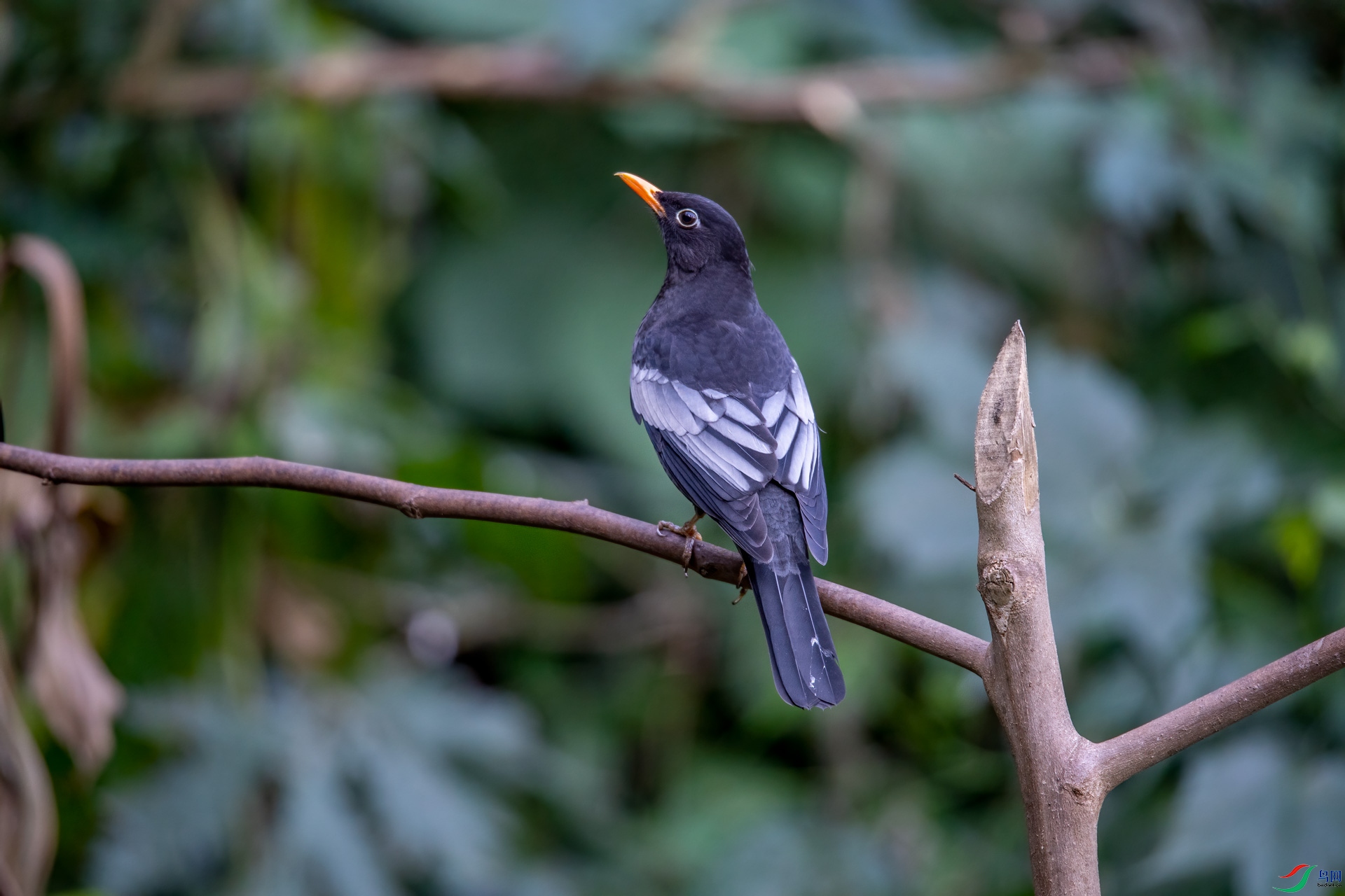 DSC_6400.jpg