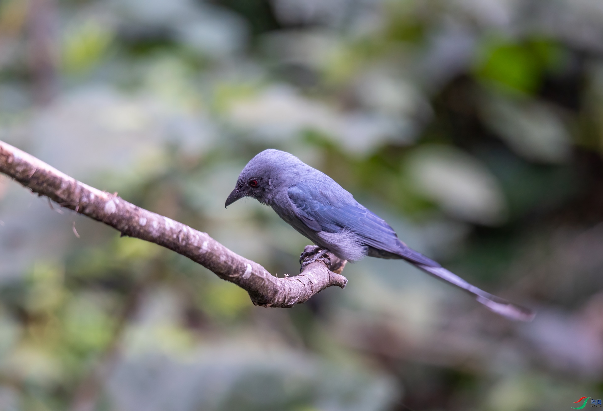 DSC_6372.jpg