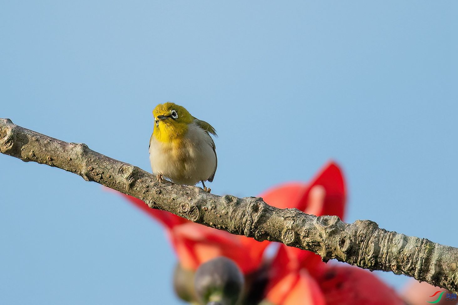 DSC_6081.jpg