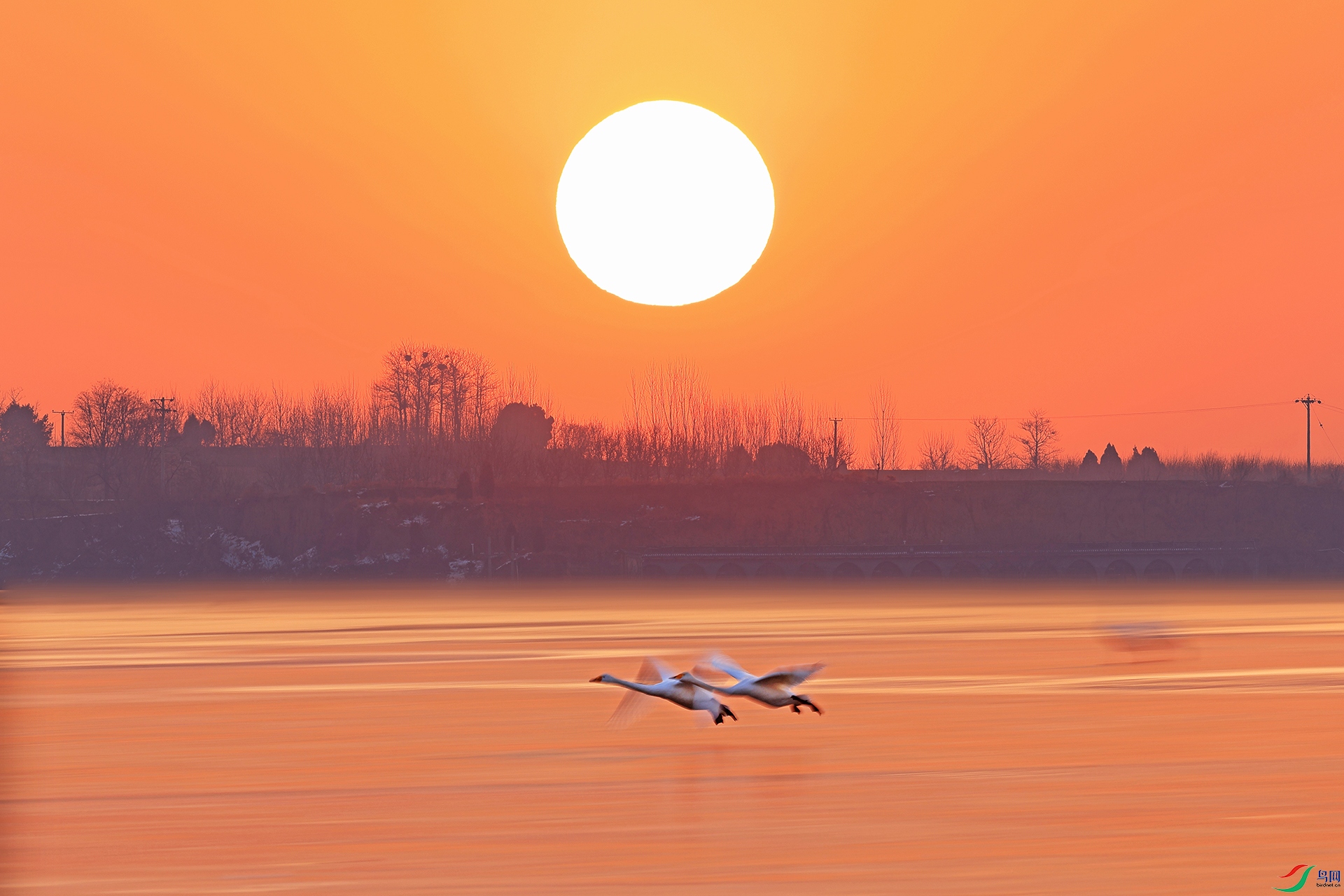 �����245-1.jpg