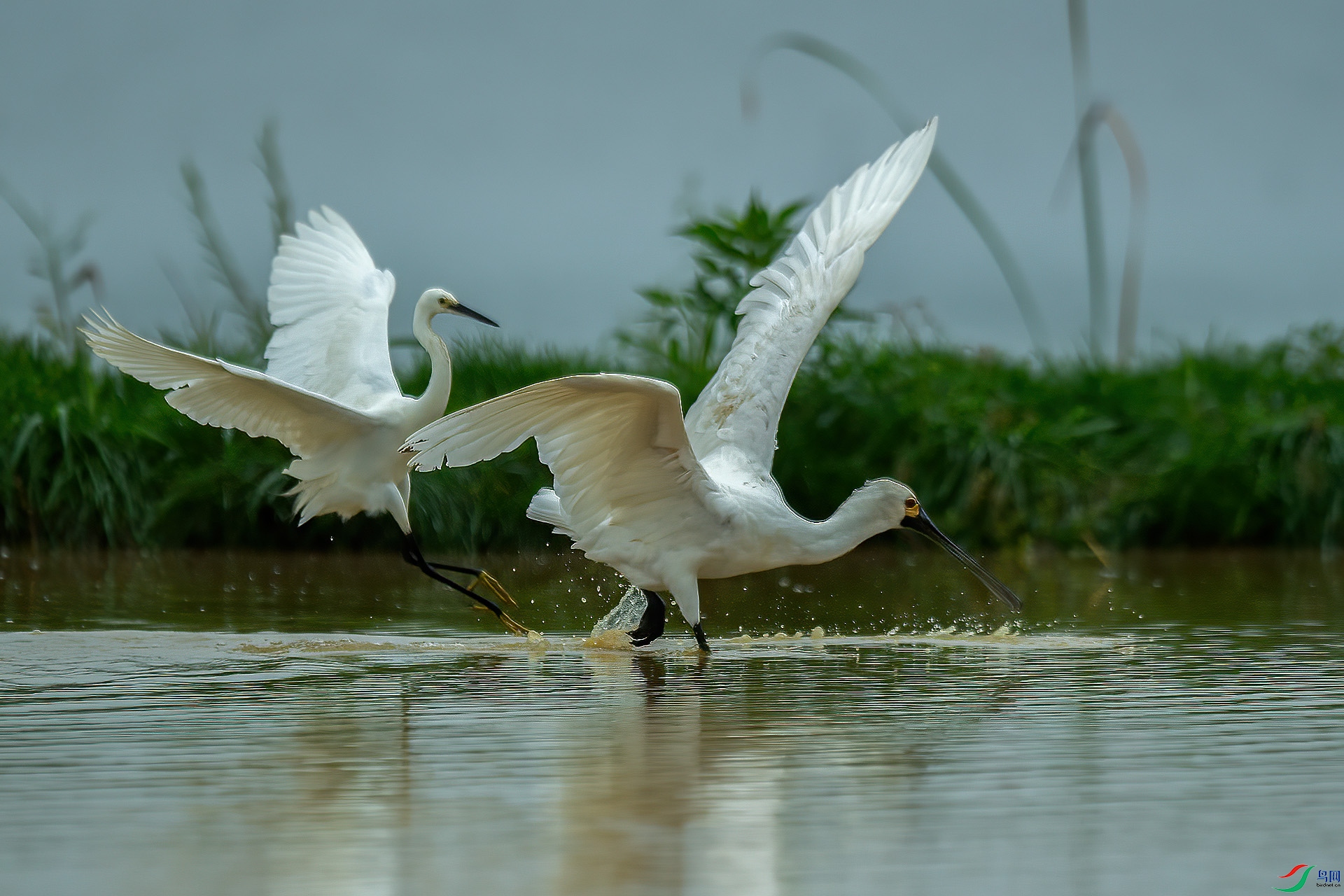 DSC_8582.jpg
