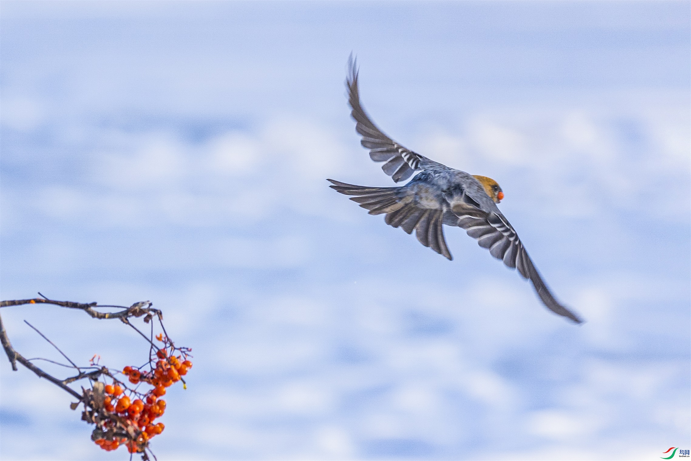 1K3A6586 ����1.jpg