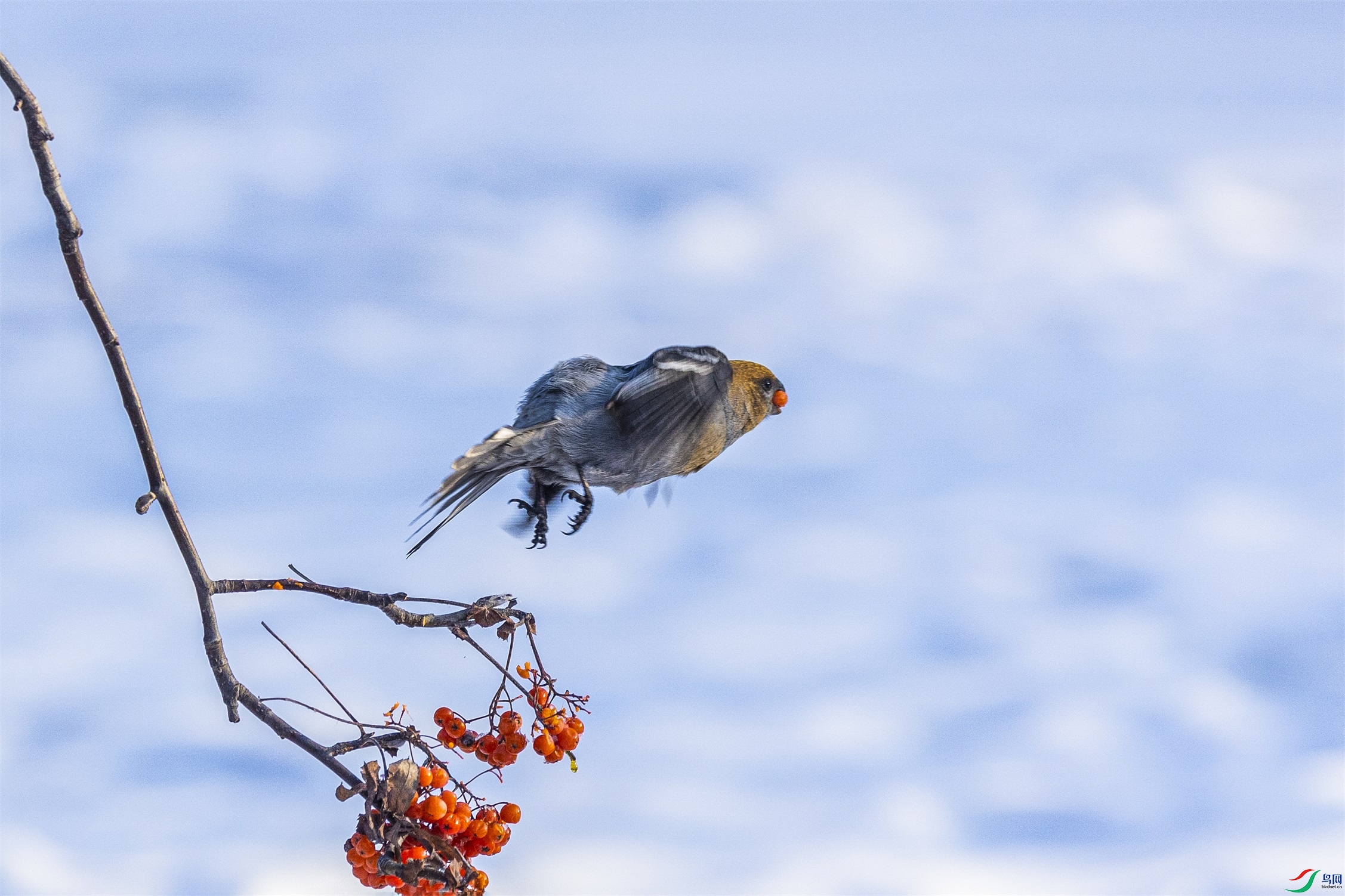 1K3A6583 ����1.jpg