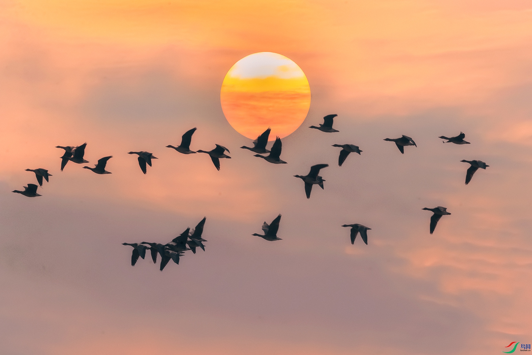 ҰѼ----Ϧ�վ����