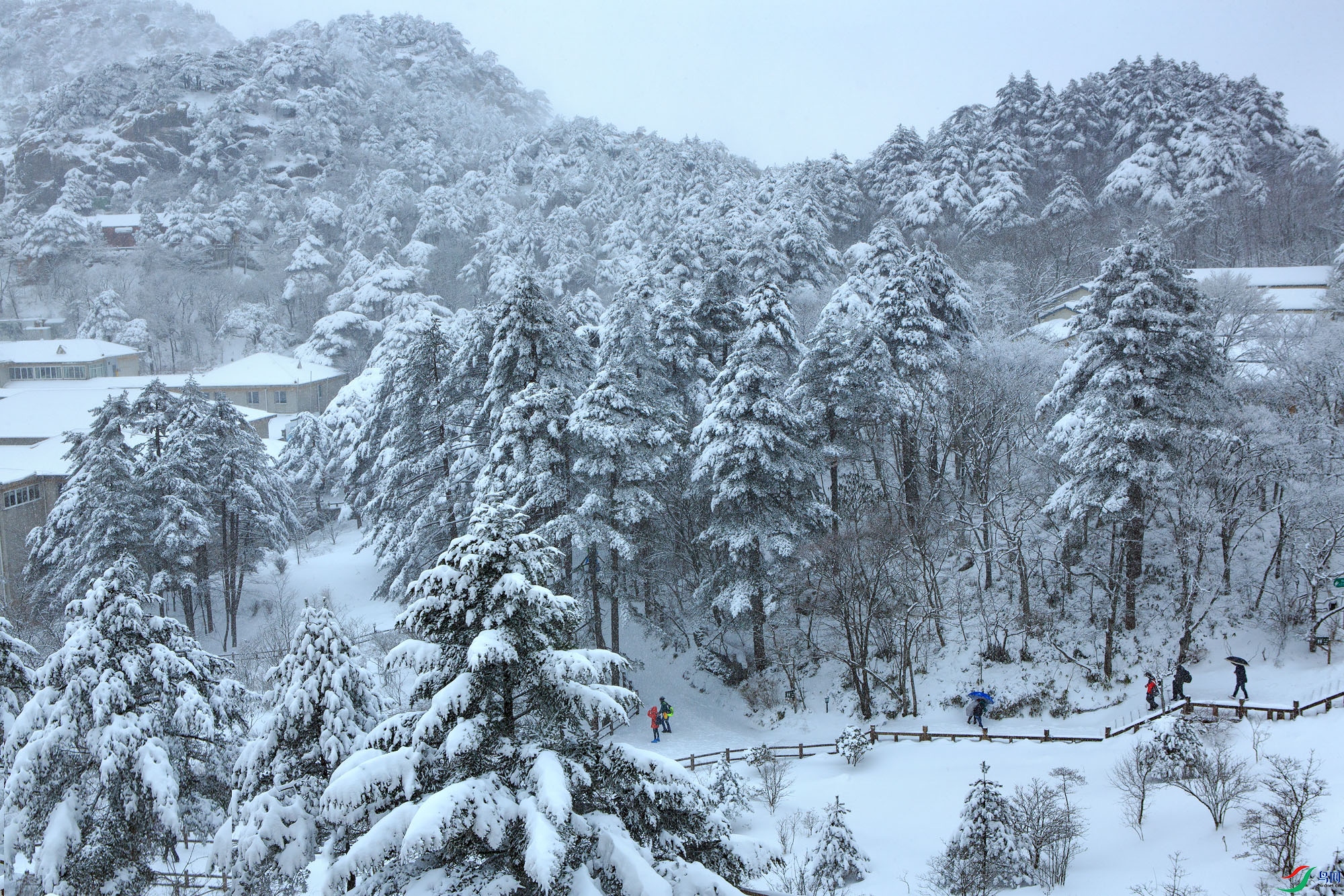 _V4C9641 ����.jpg