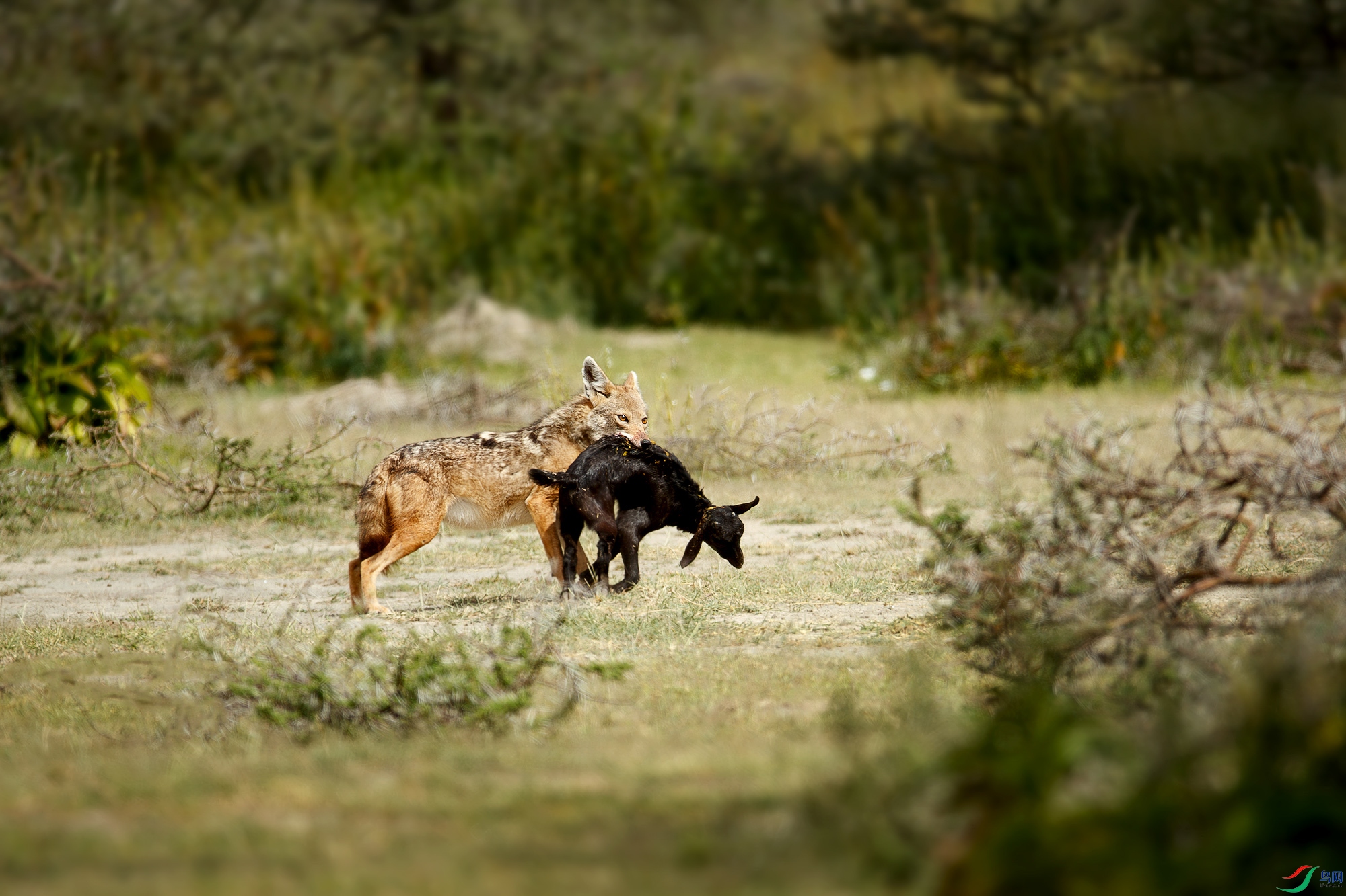 AQ9I1876-����ǿ-NR ����.jpg