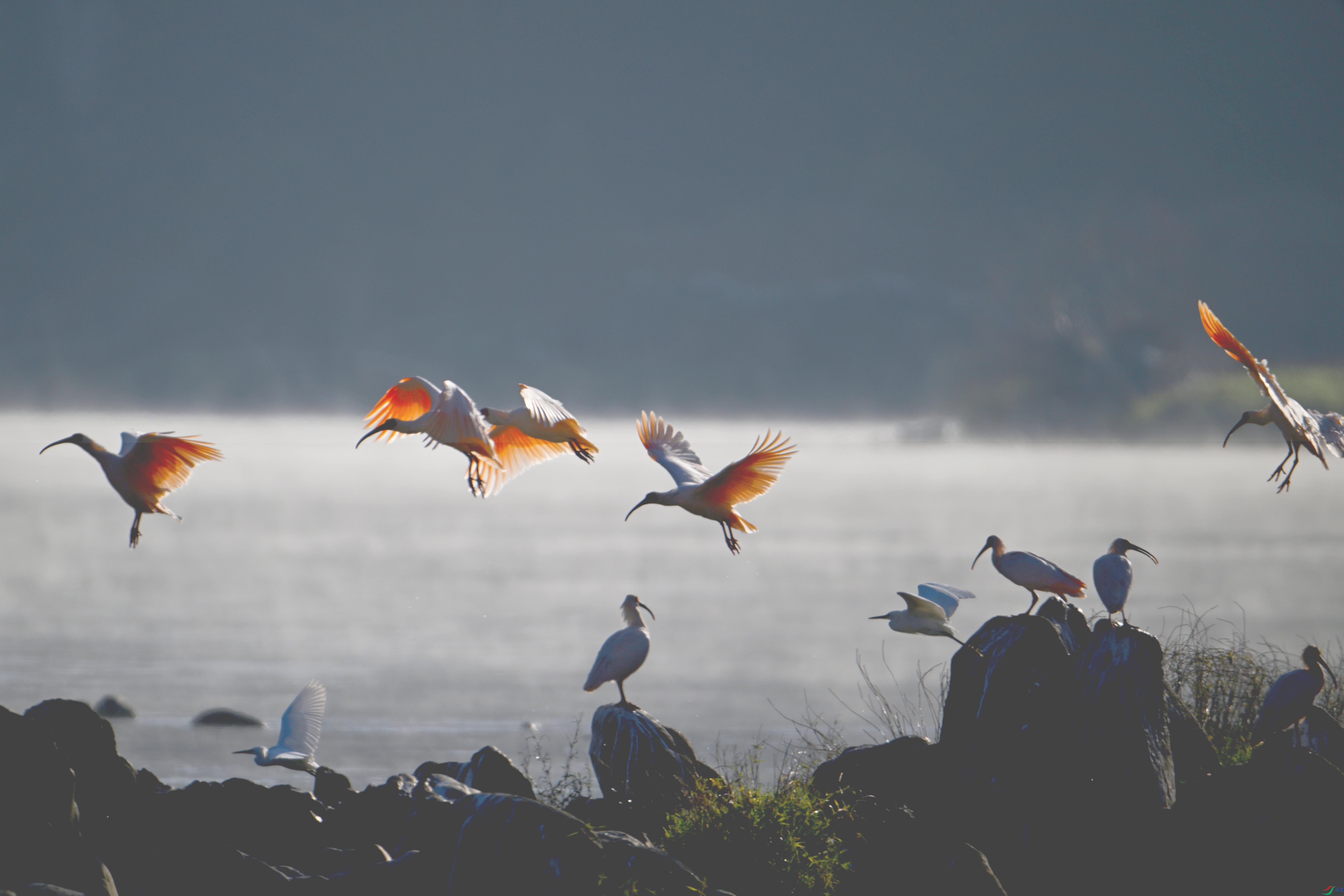 DSC_7181 ����.jpg