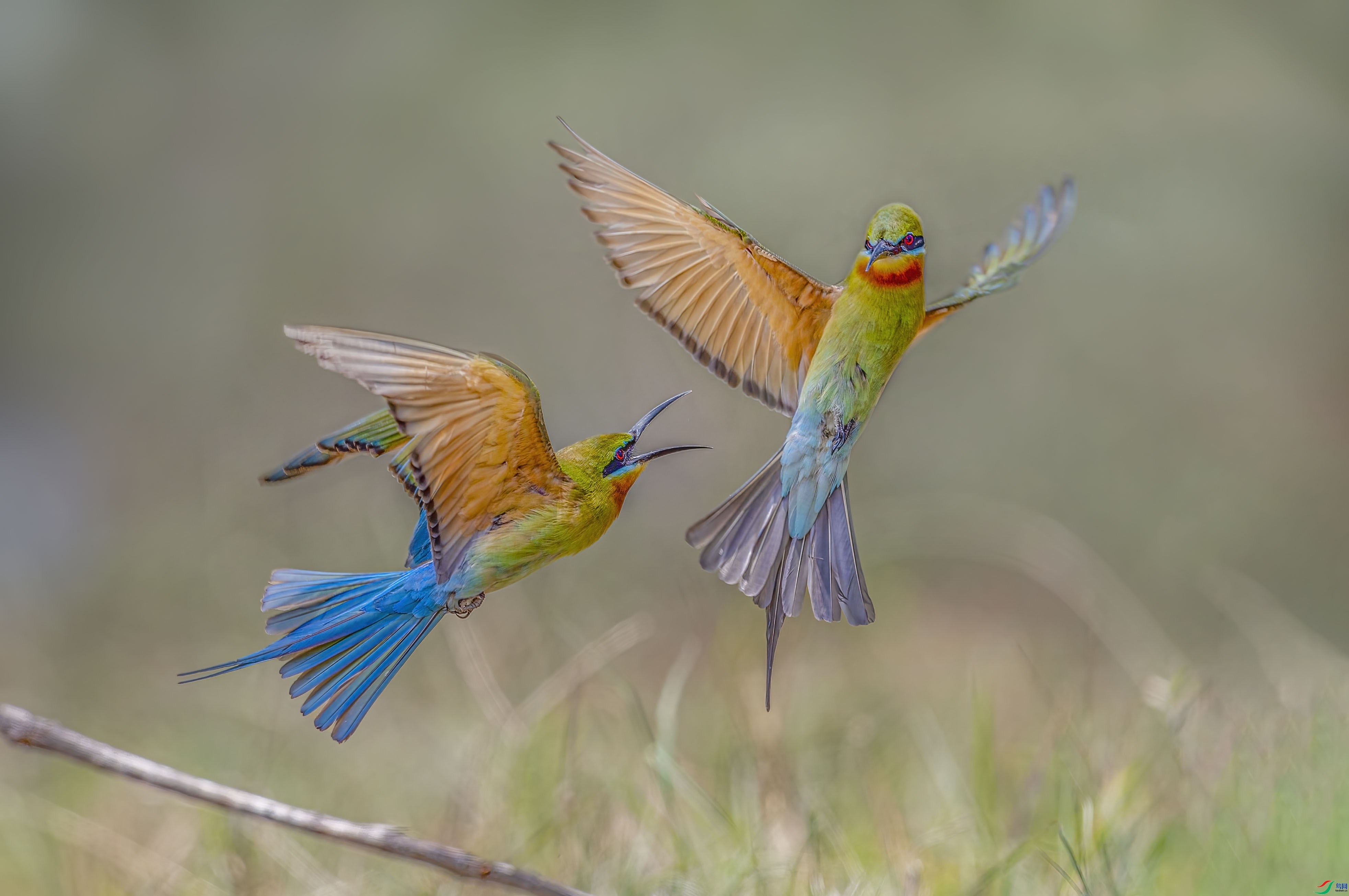 ÿ�ռ���  ׷�� ���� �ܸ� ����.jpg