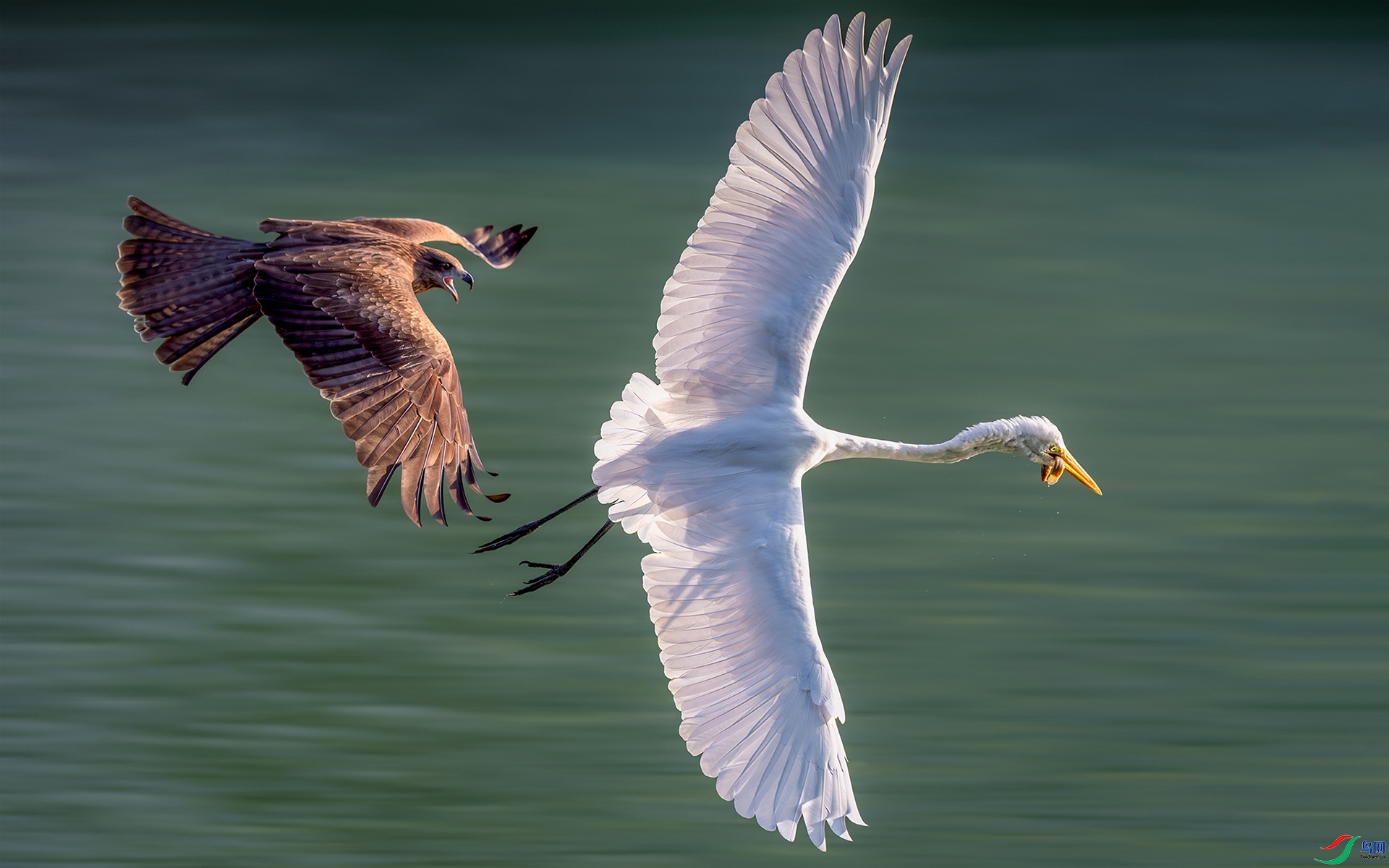 ׷  ���� ����Ӱ  ��һ.jpg