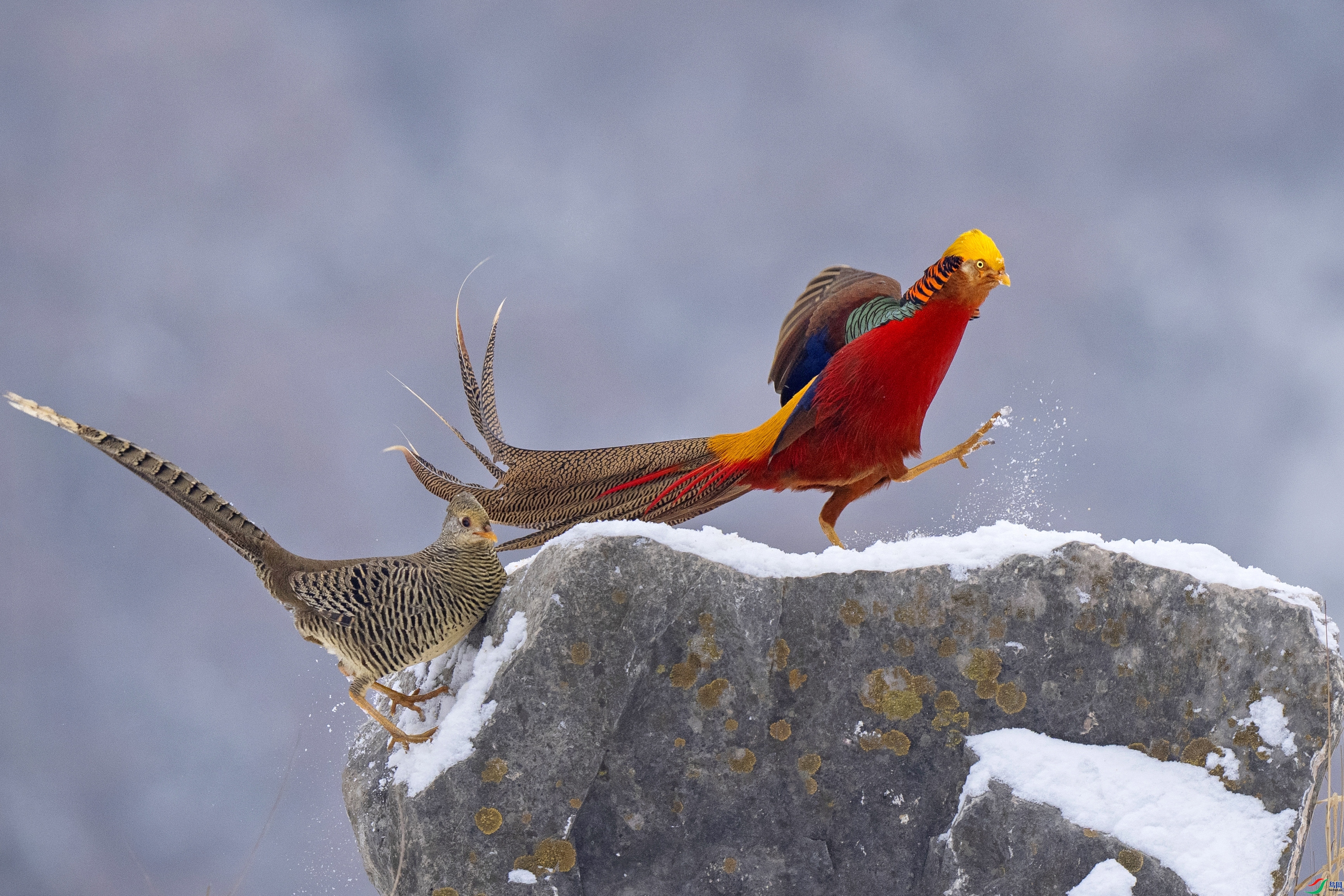 ׷��  ���� �ϫ  ��һ.jpg