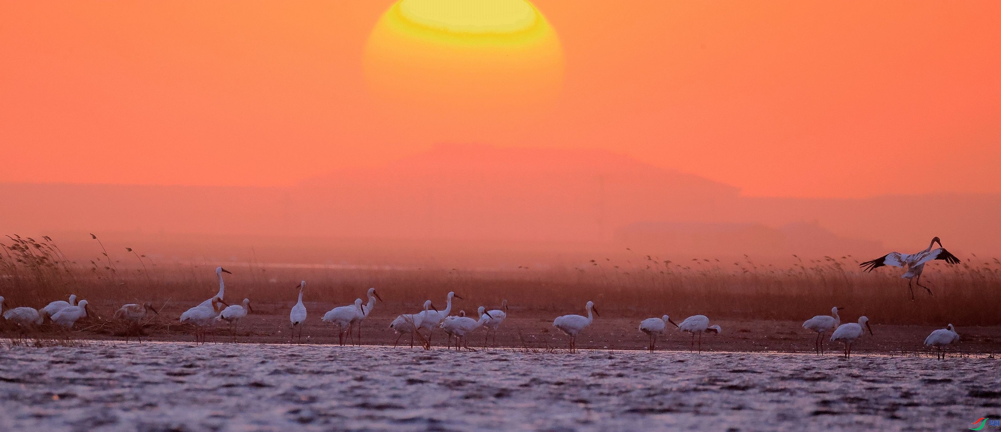 ����Ϧ��  ���� ɭ�֣����֣���һ.jpg