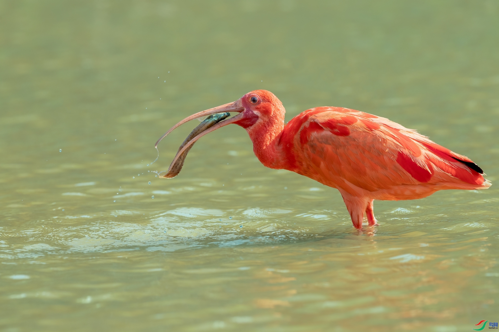 ��ζ�ɿ�  ���� ��һ.jpg