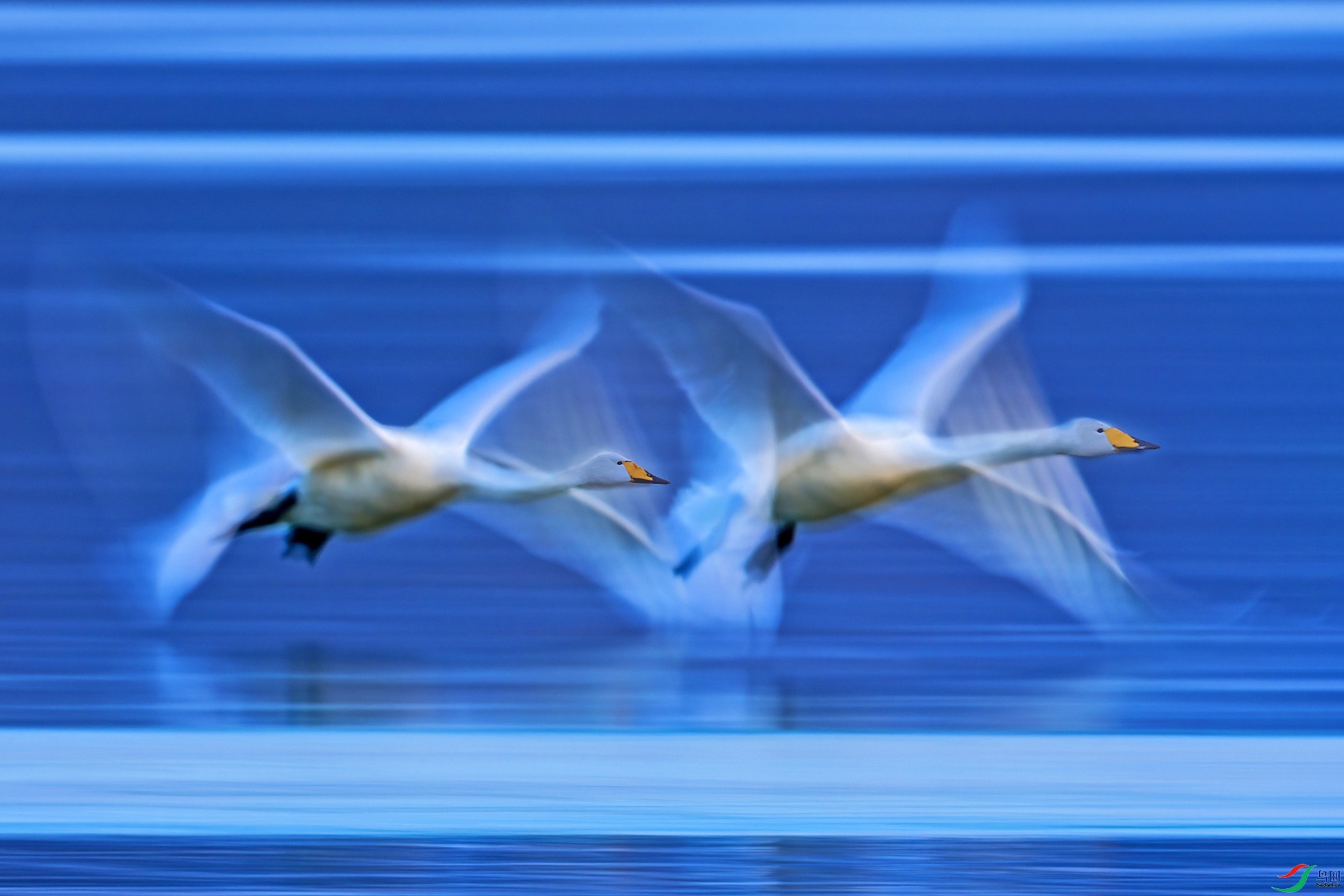 ��� ���� ������ �ܶ�.jpg