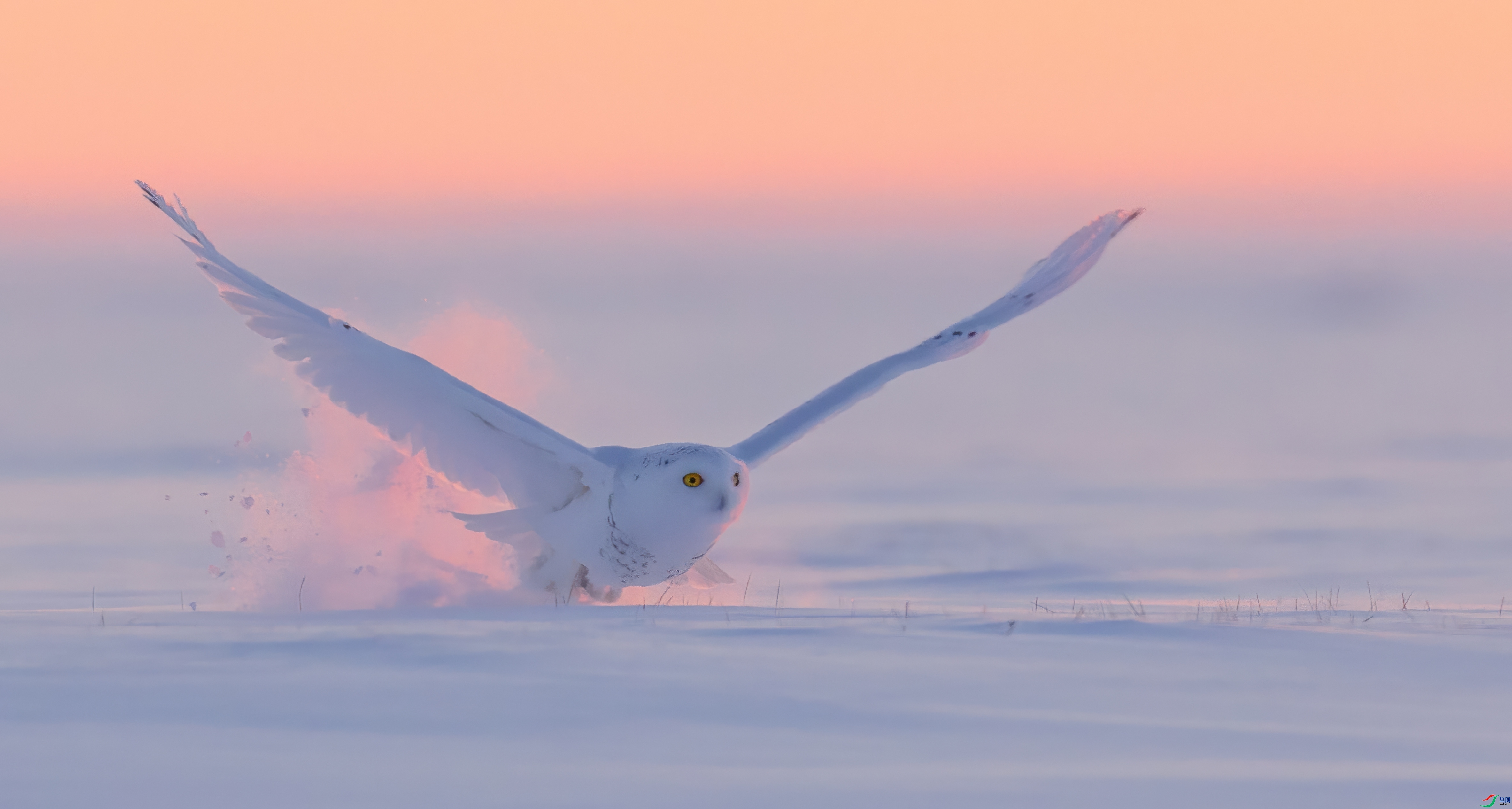 ��������  ���� �ܷ� ����.jpeg