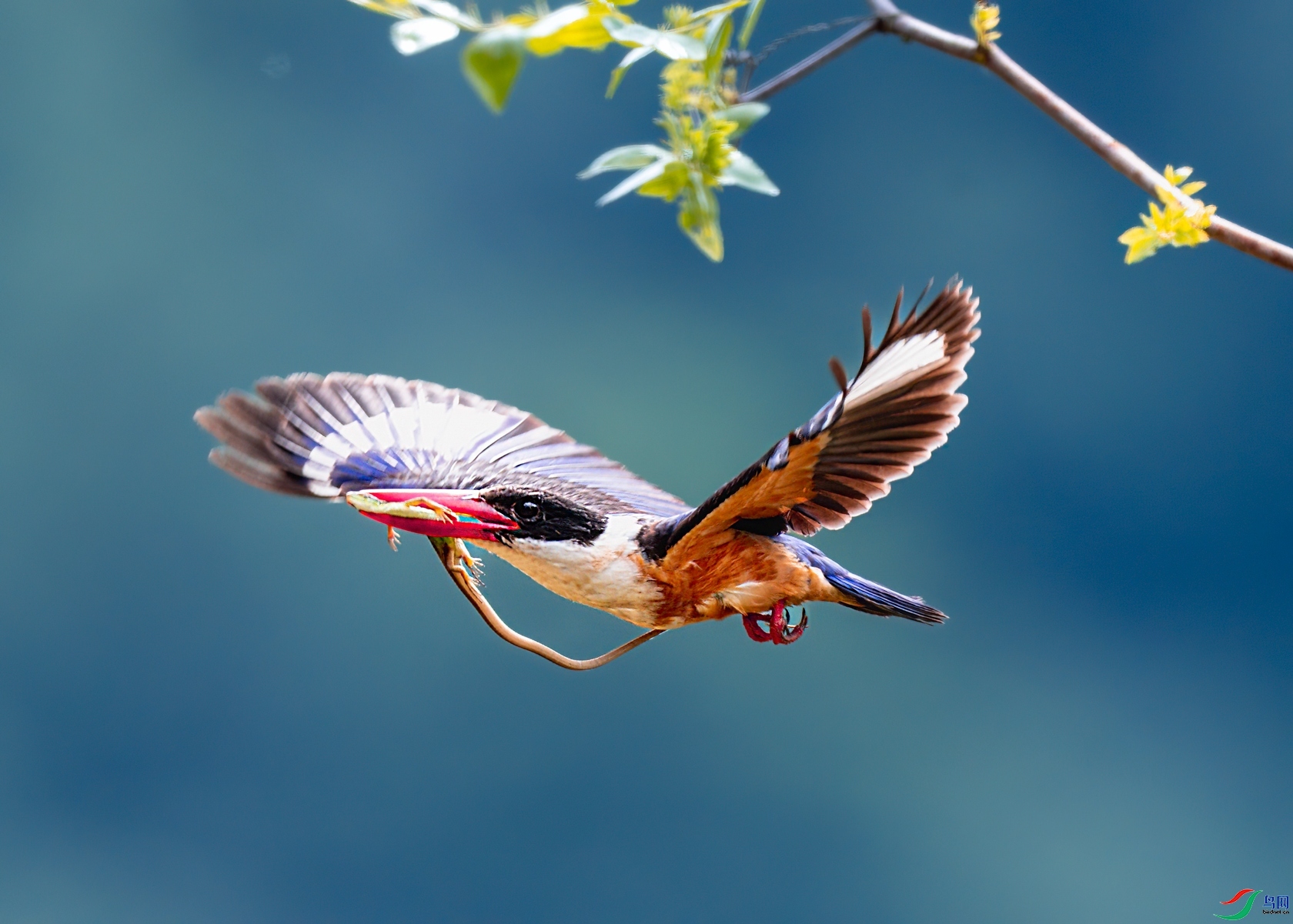 ι��æ  ���� ����.jpg