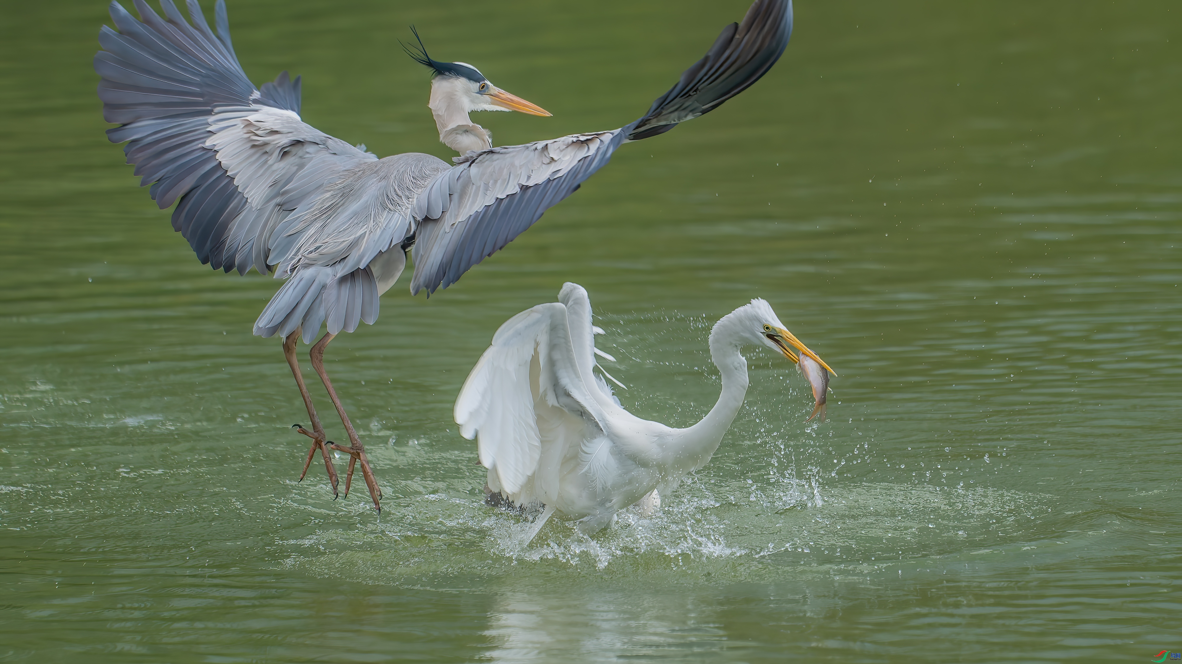 ���� ���� ���� ����.jpg