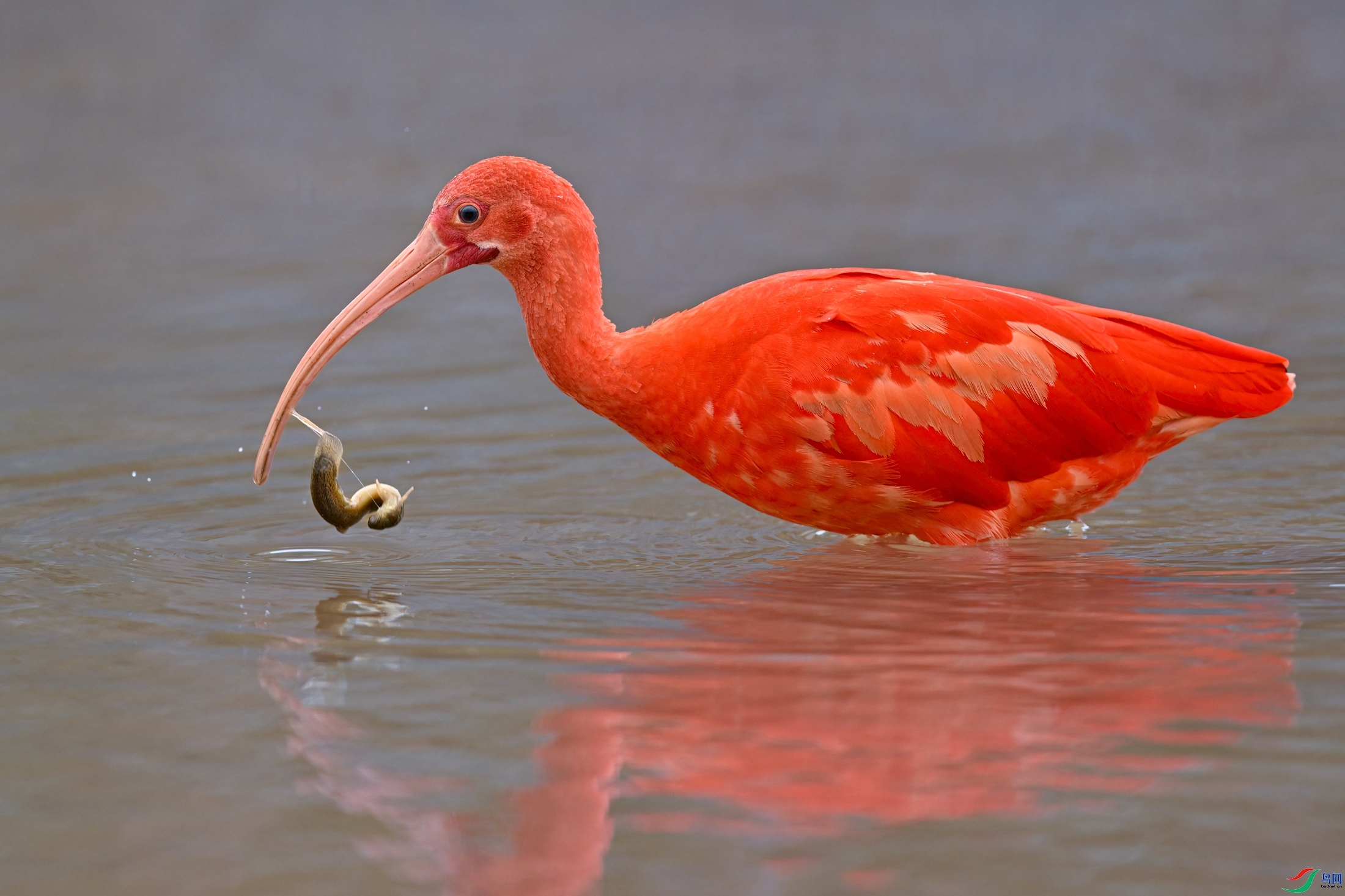 ����һ��  ���� �������-���� ����.jpg